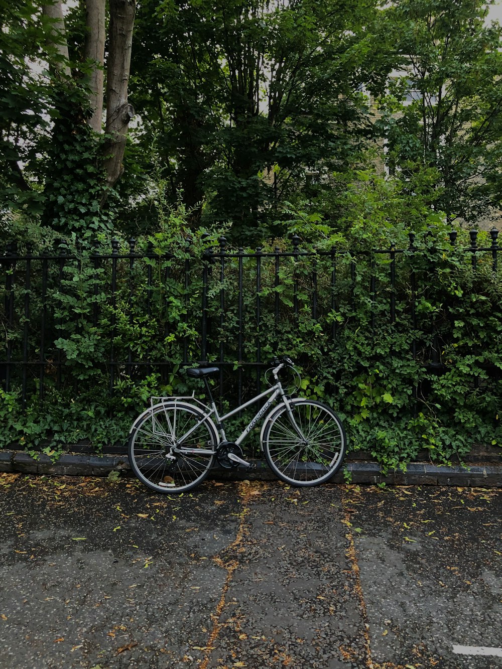 black city bike parked beside green plants