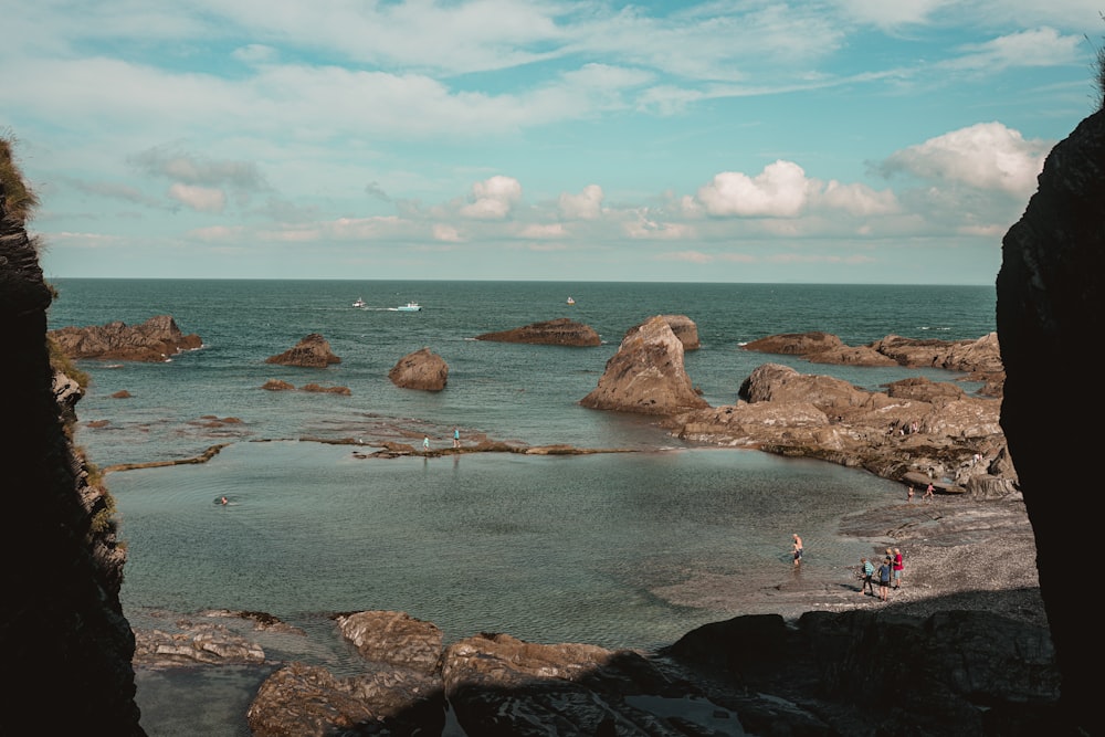 people on beach during daytime