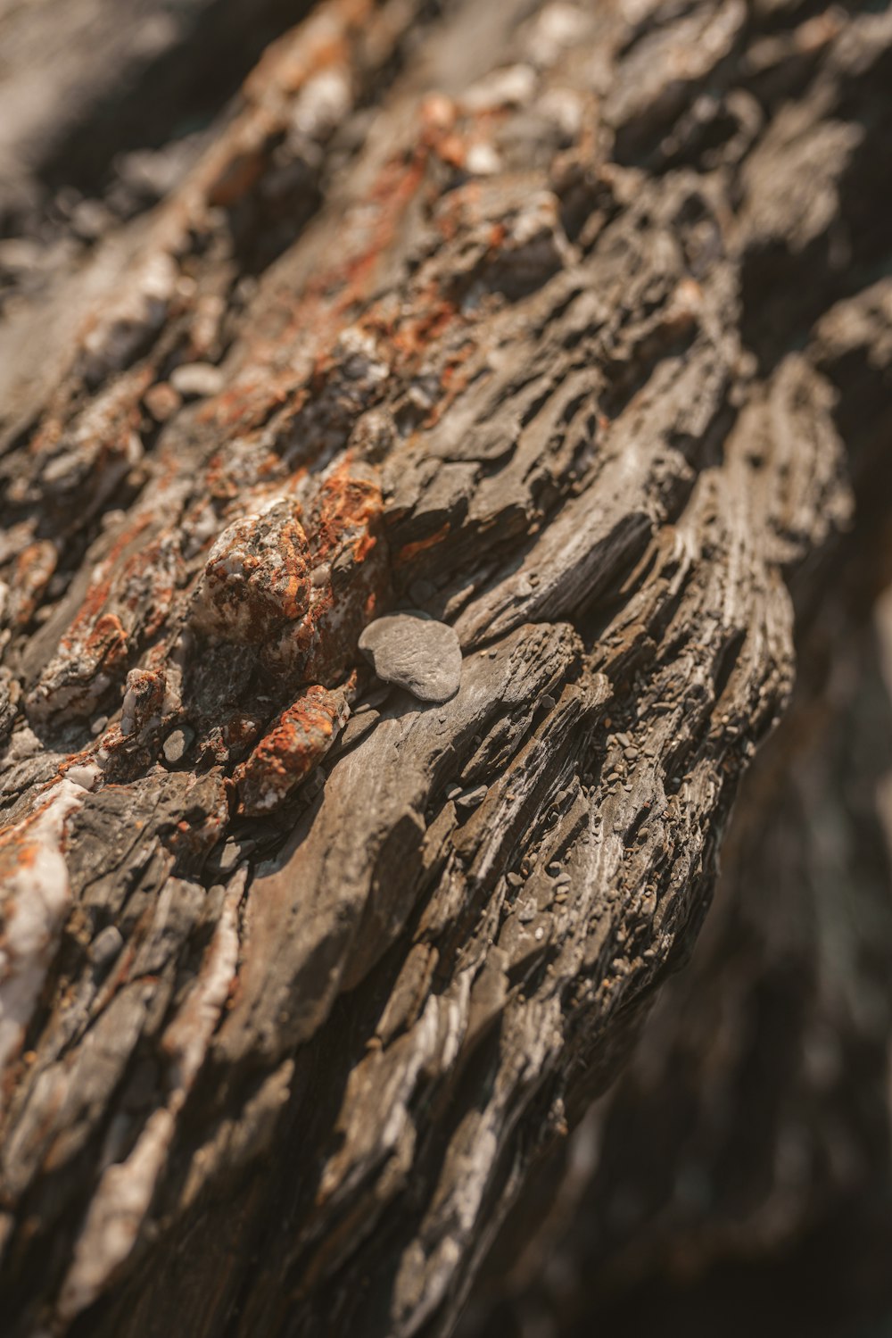 brown wood with water droplets