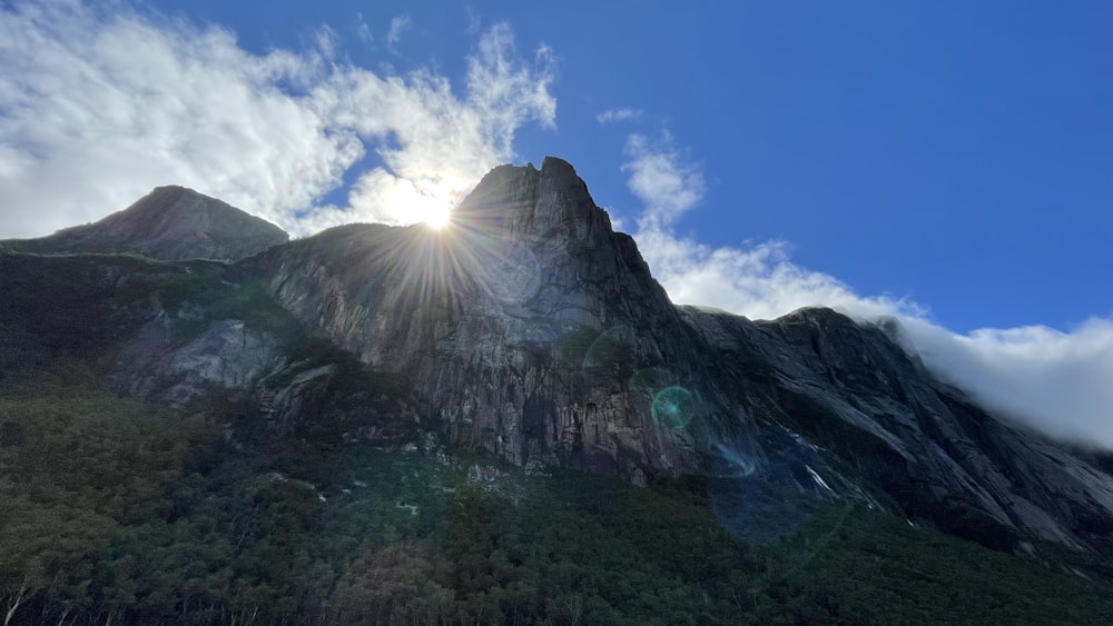 green trees on mountain under blue sky during daytime