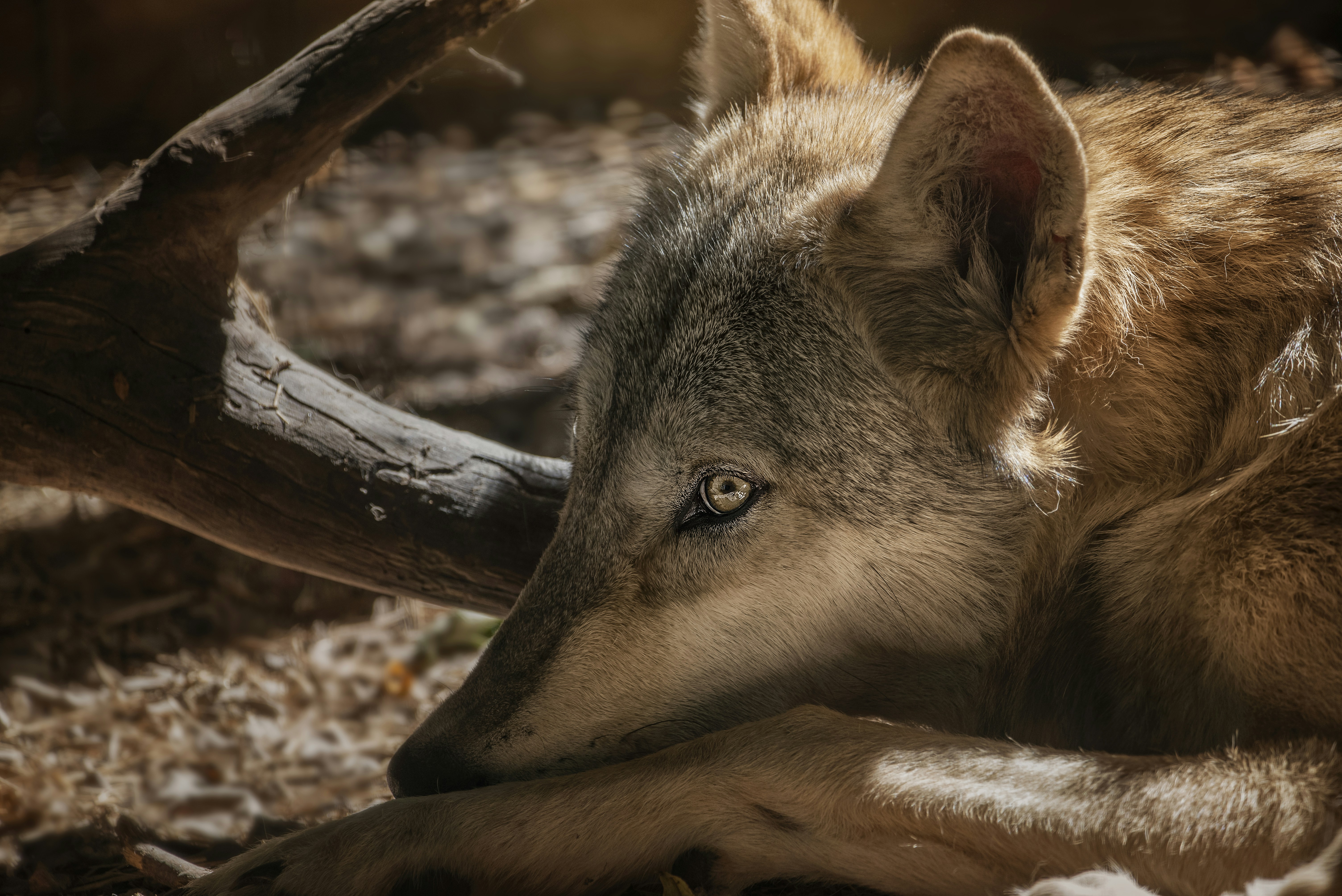 Photo by jessika2534