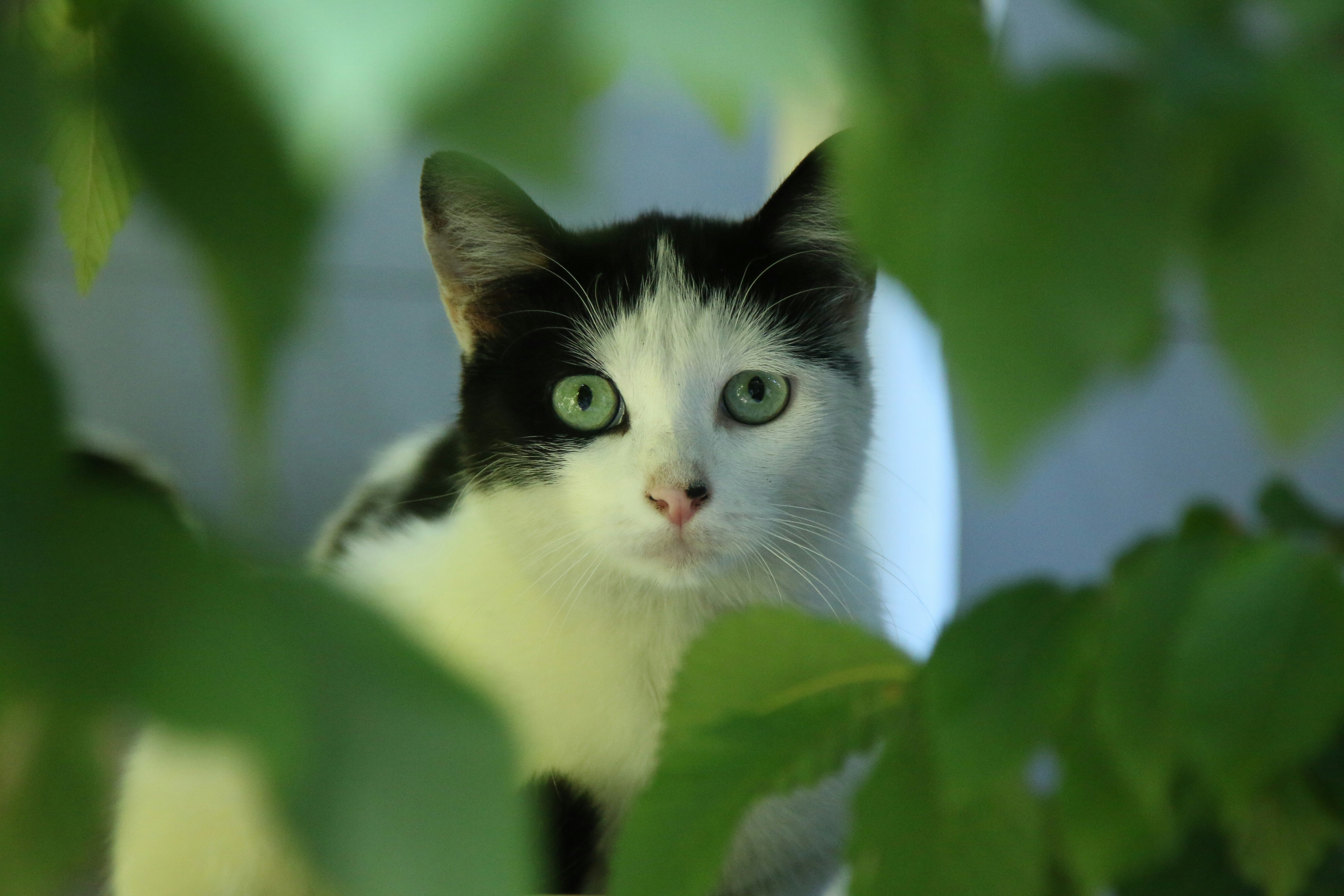 Photo by eggjordanne