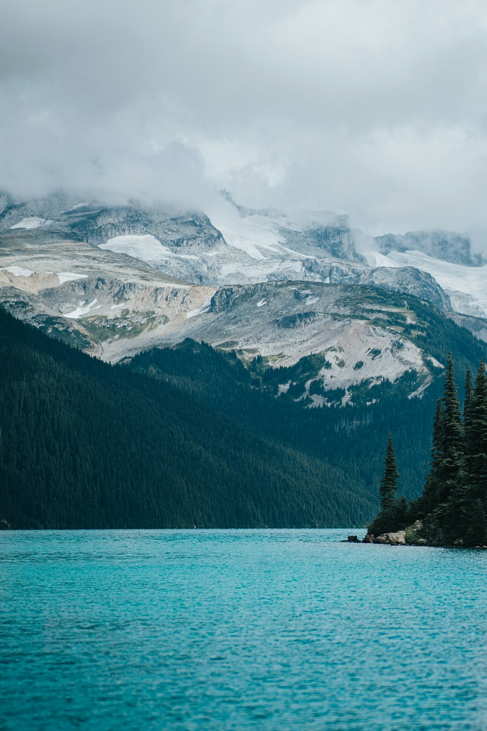 green pine trees near snow covered mountain during daytime