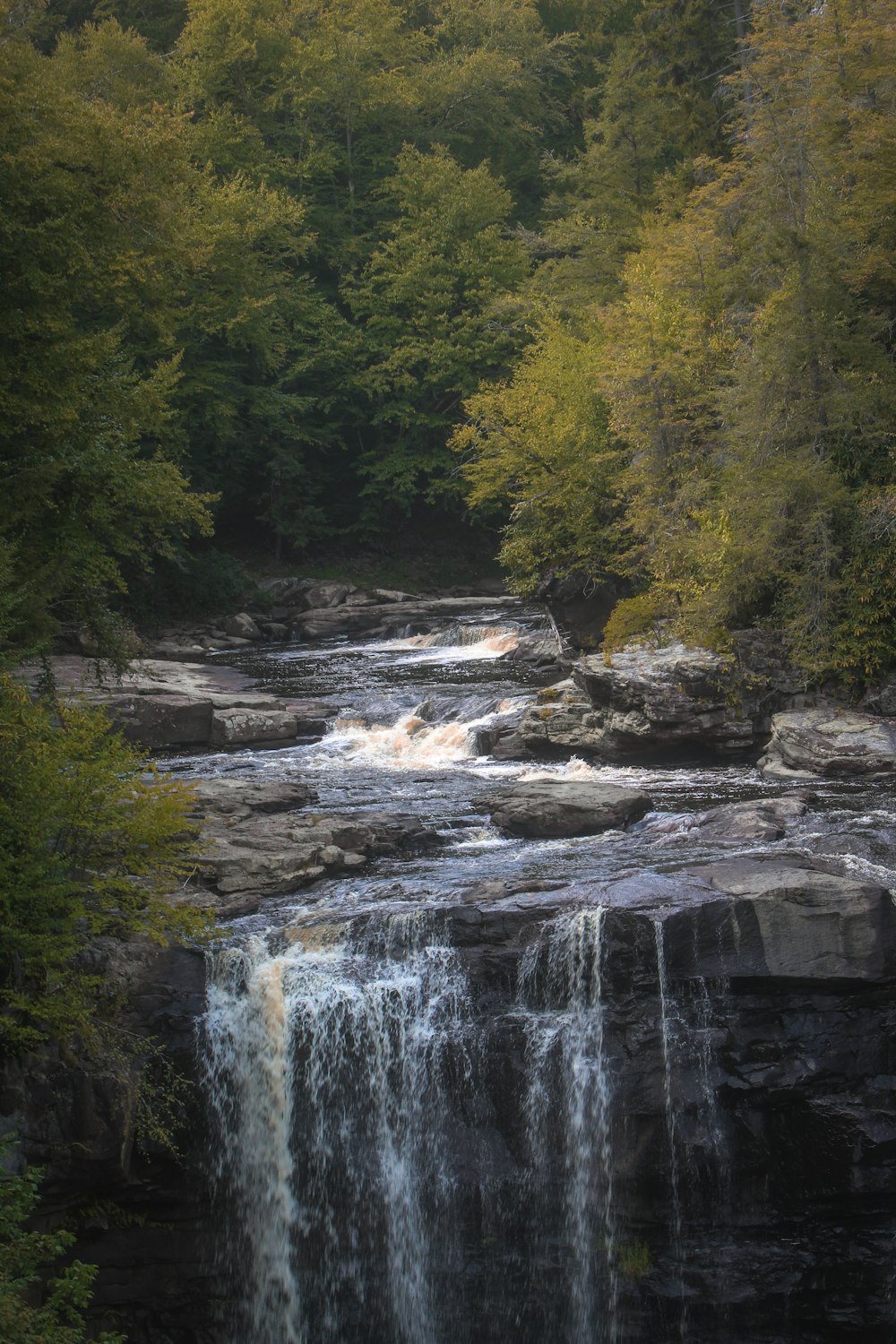 waterfalls in the middle of forest during daytime