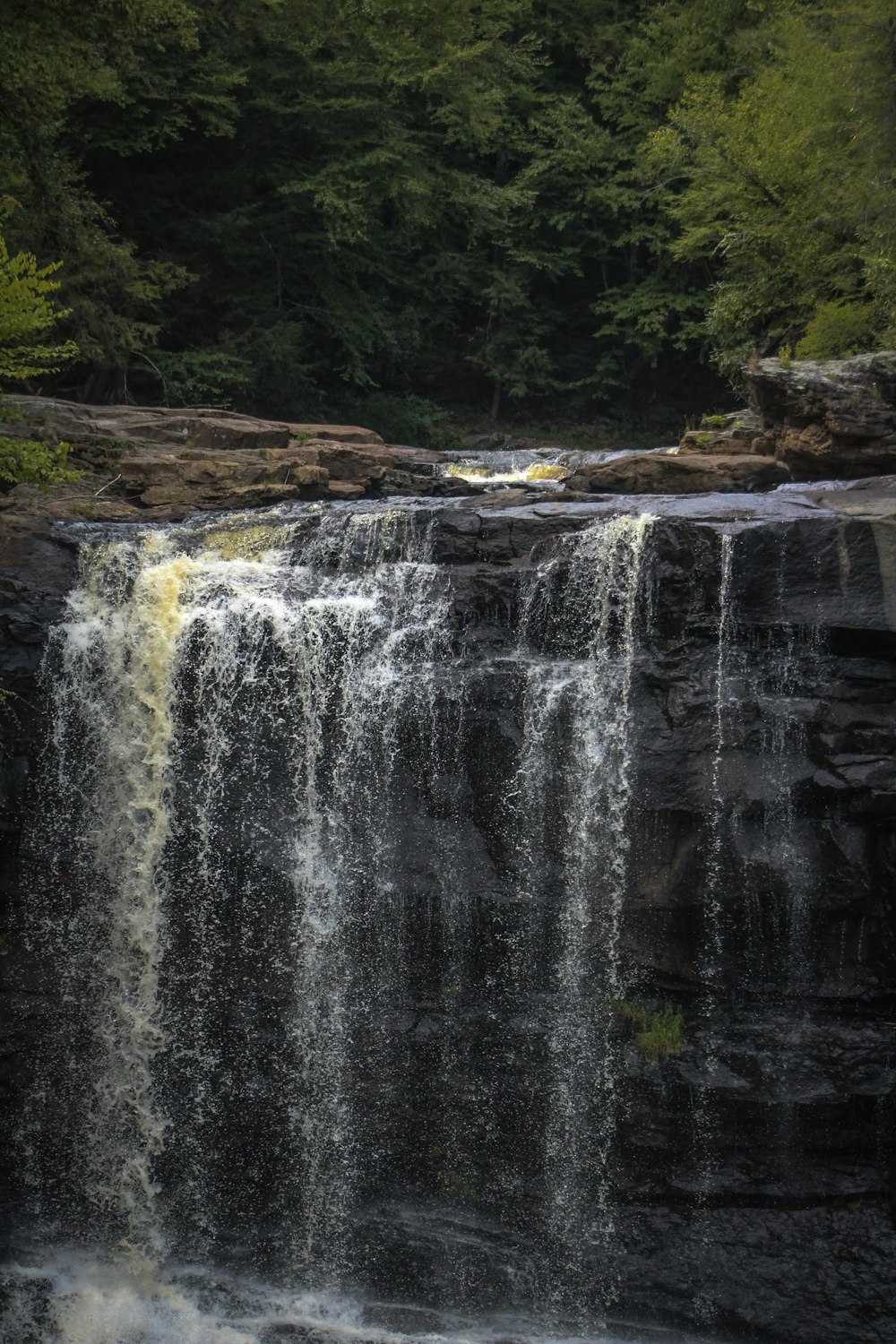 waterfalls near green trees during daytime