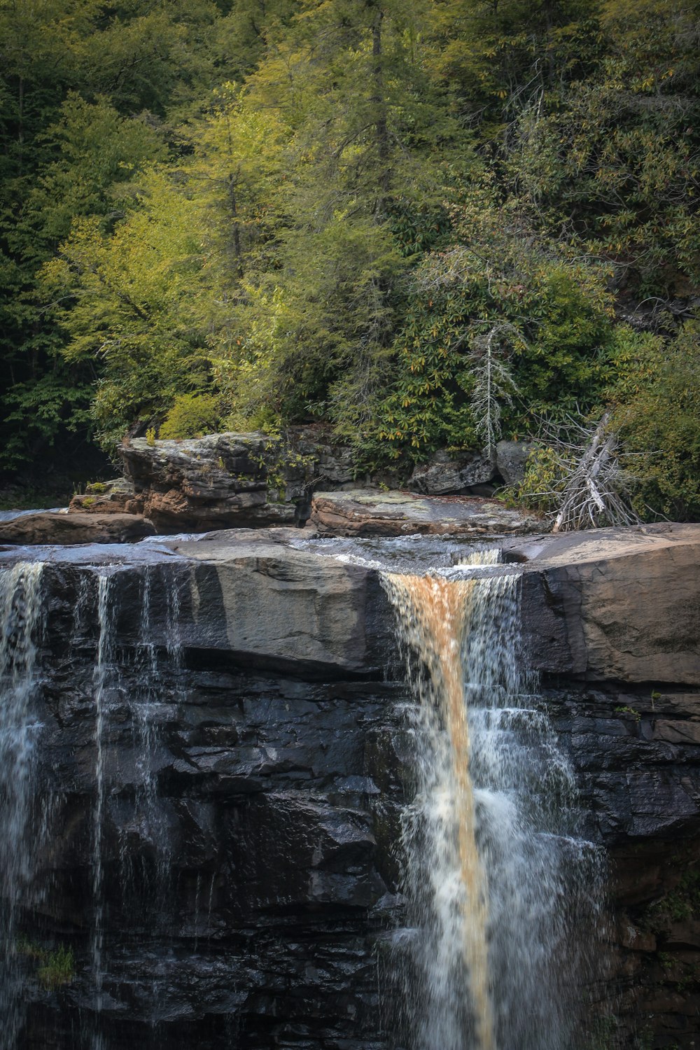 waterfalls in the middle of forest during daytime