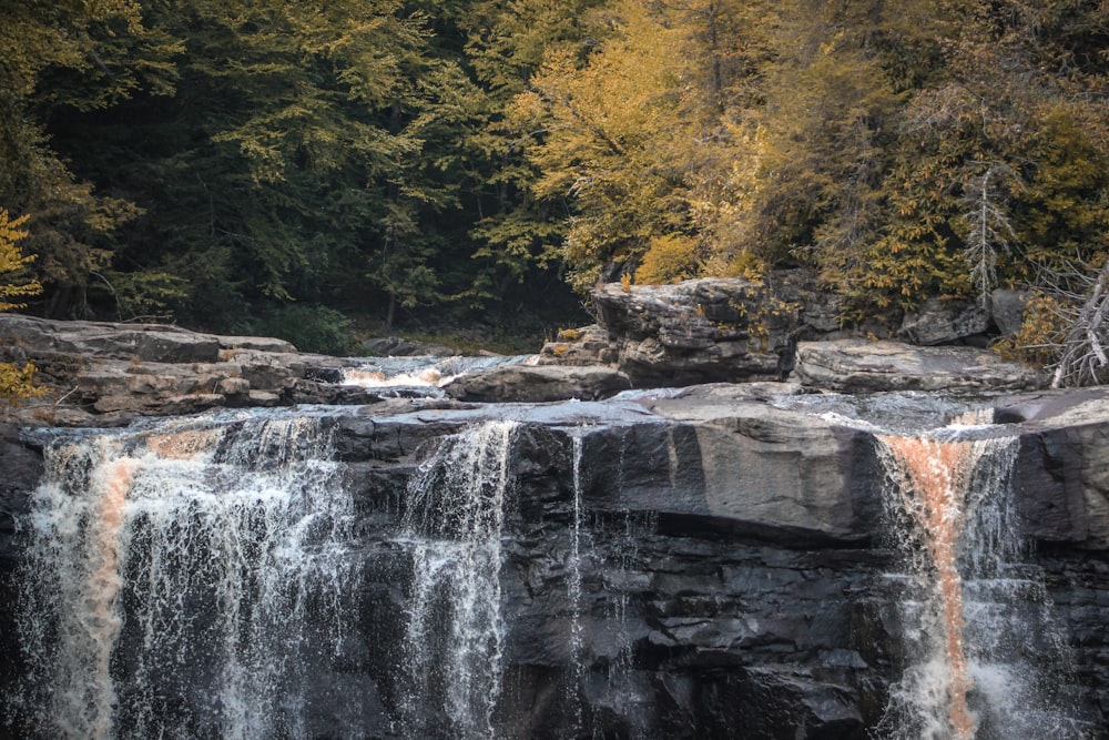 waterfalls in forest during daytime