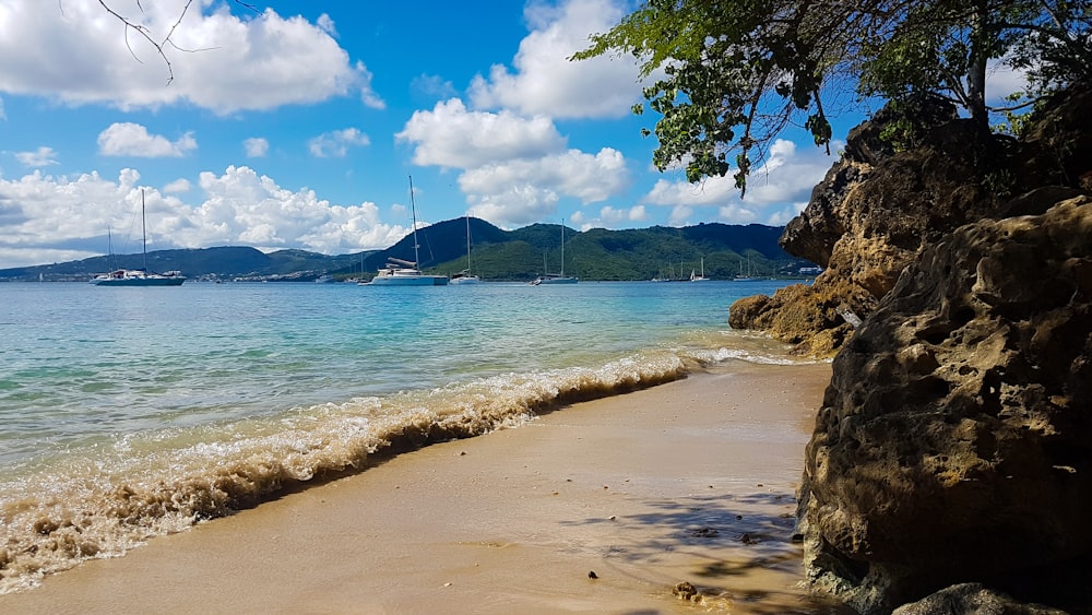 blue body of water near green trees under blue sky and white clouds during daytime