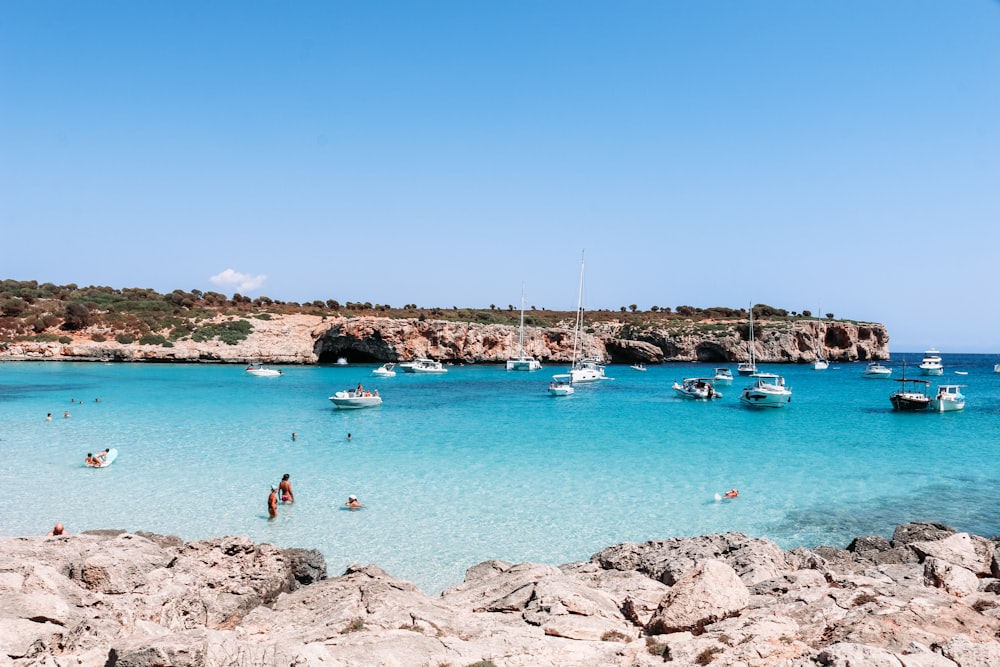 people swimming on beach during daytime