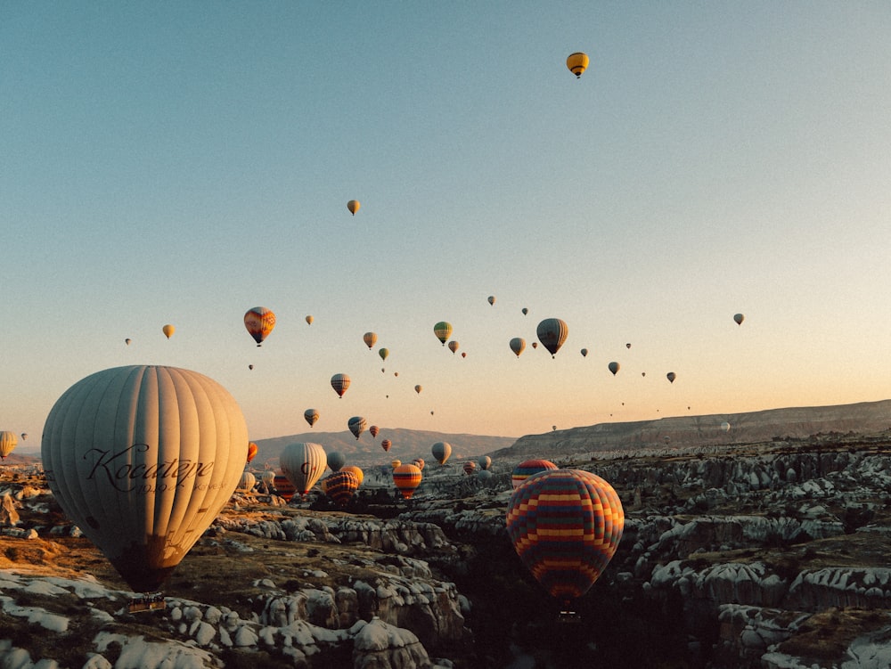 hot air balloons flying over the field during daytime