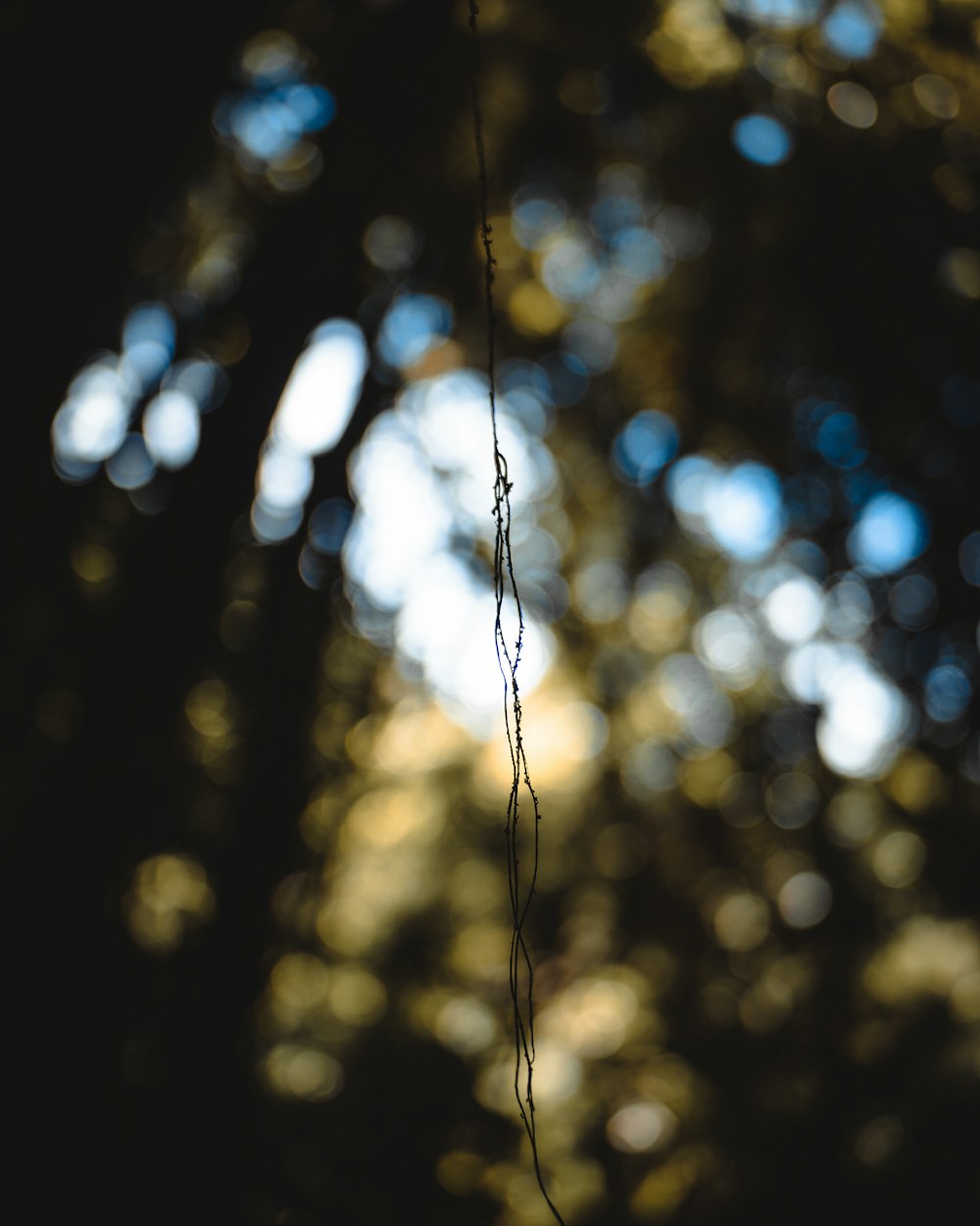 brown rope in tilt shift lens