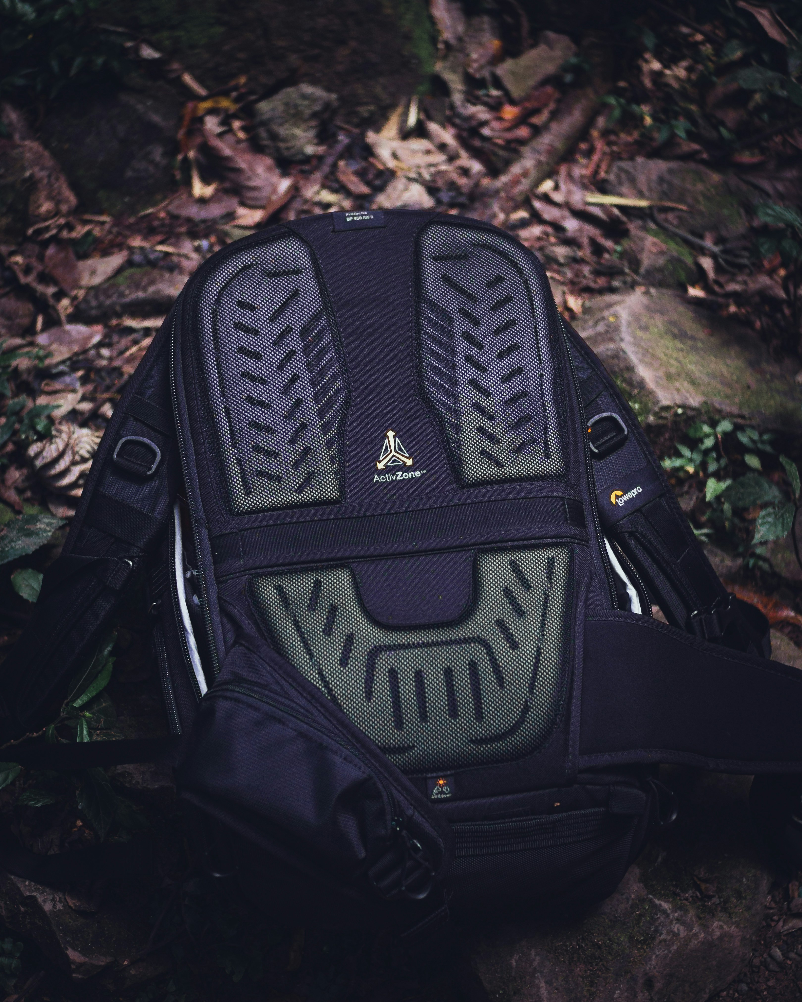 black and gray backpack on brown leaves