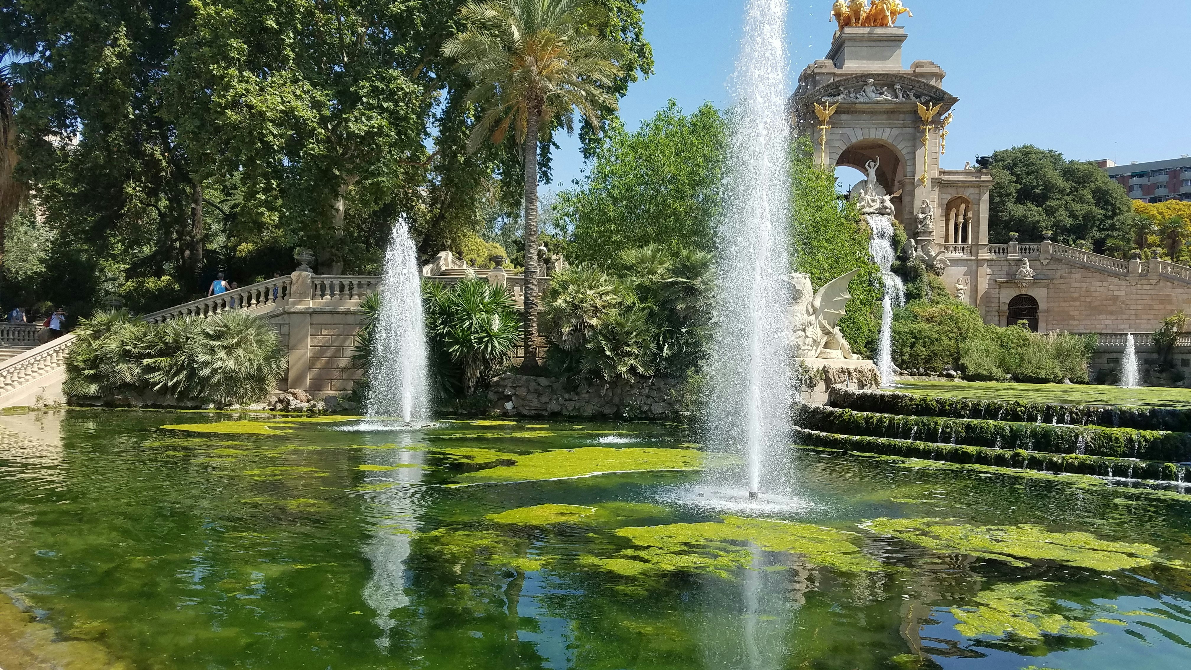 Photo by beckylovesbirds