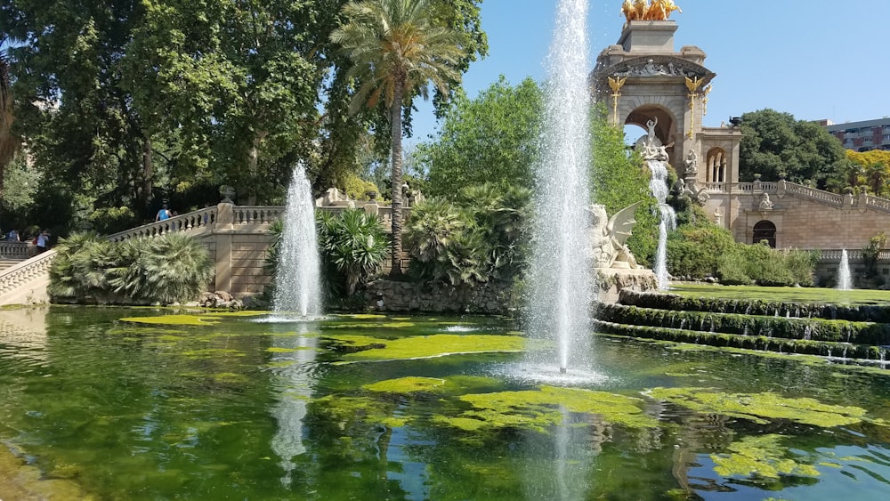 water fountain in the middle of green trees