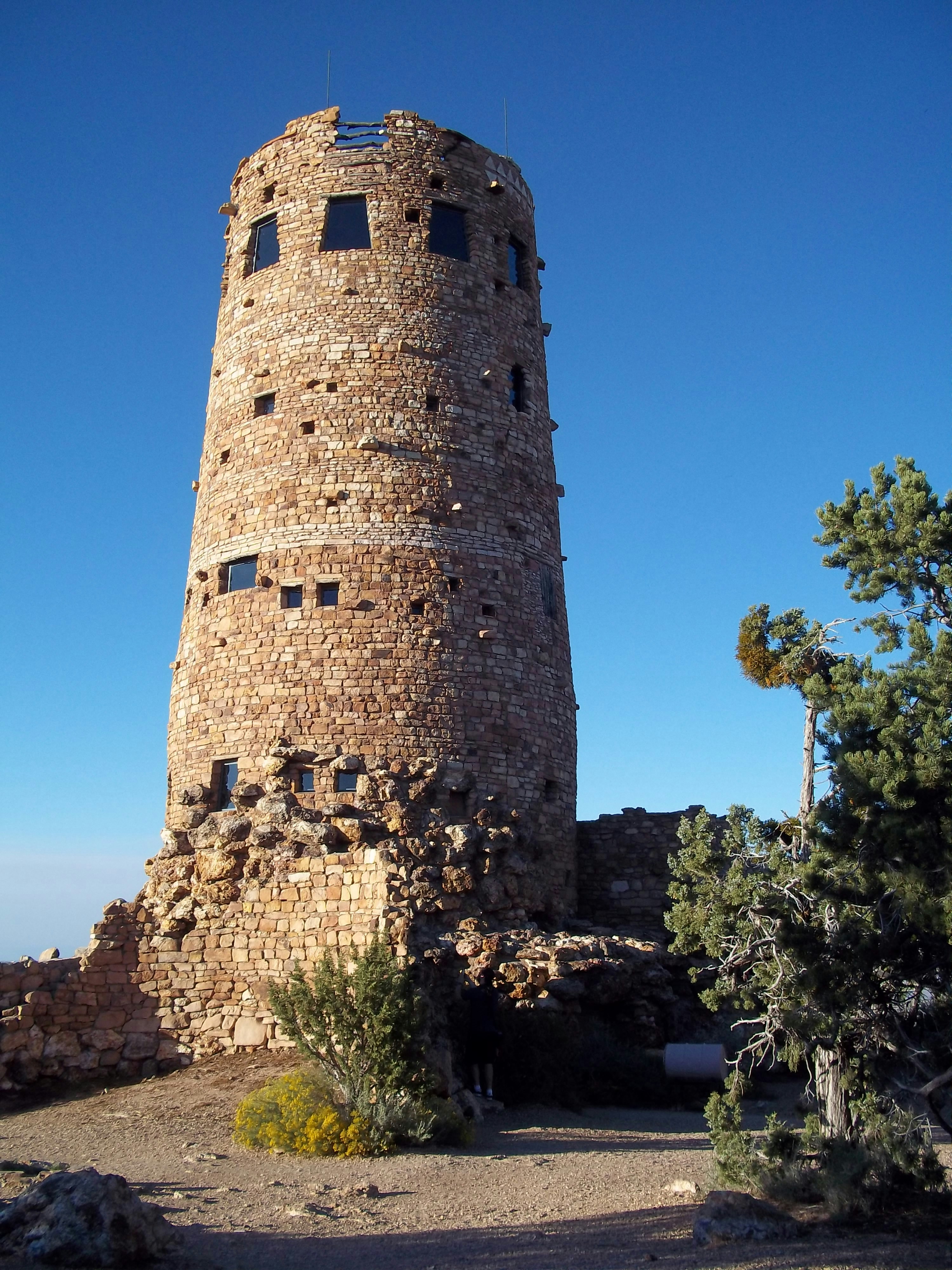 Photo by beckylovesbirds