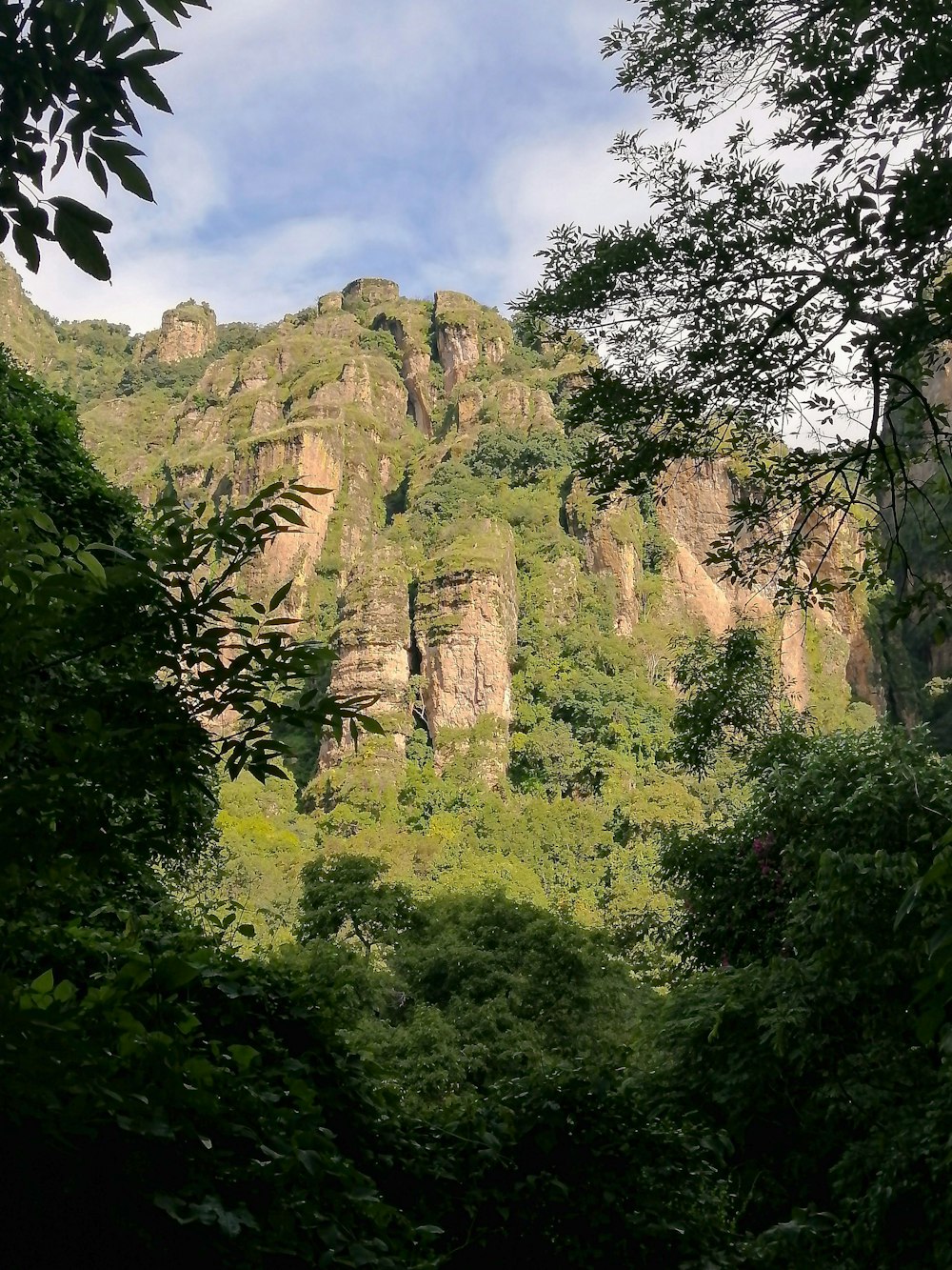 green trees near brown rock formation under white clouds and blue sky during daytime