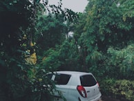 A Toyota Yaris Cross parked near a vibrant tropical garden bursting with flowers and greenery.