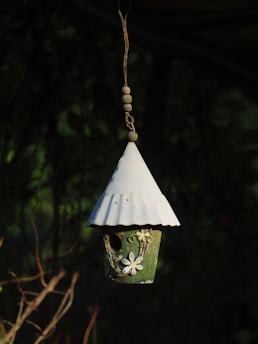 A cozy British garden with a smart birdhouse featuring a small HD camera nestled among green leaves.