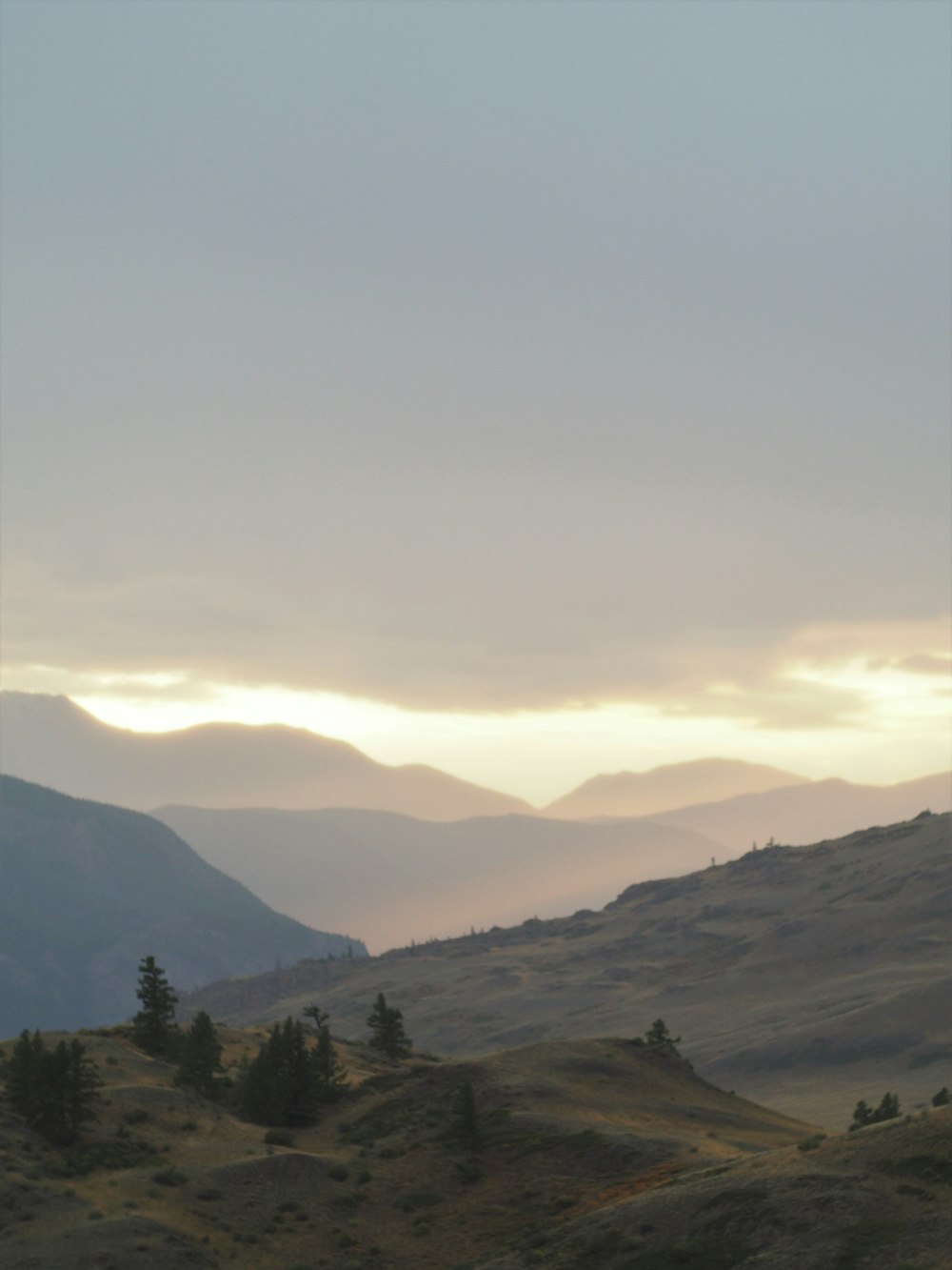 green trees on mountain under white sky during daytime