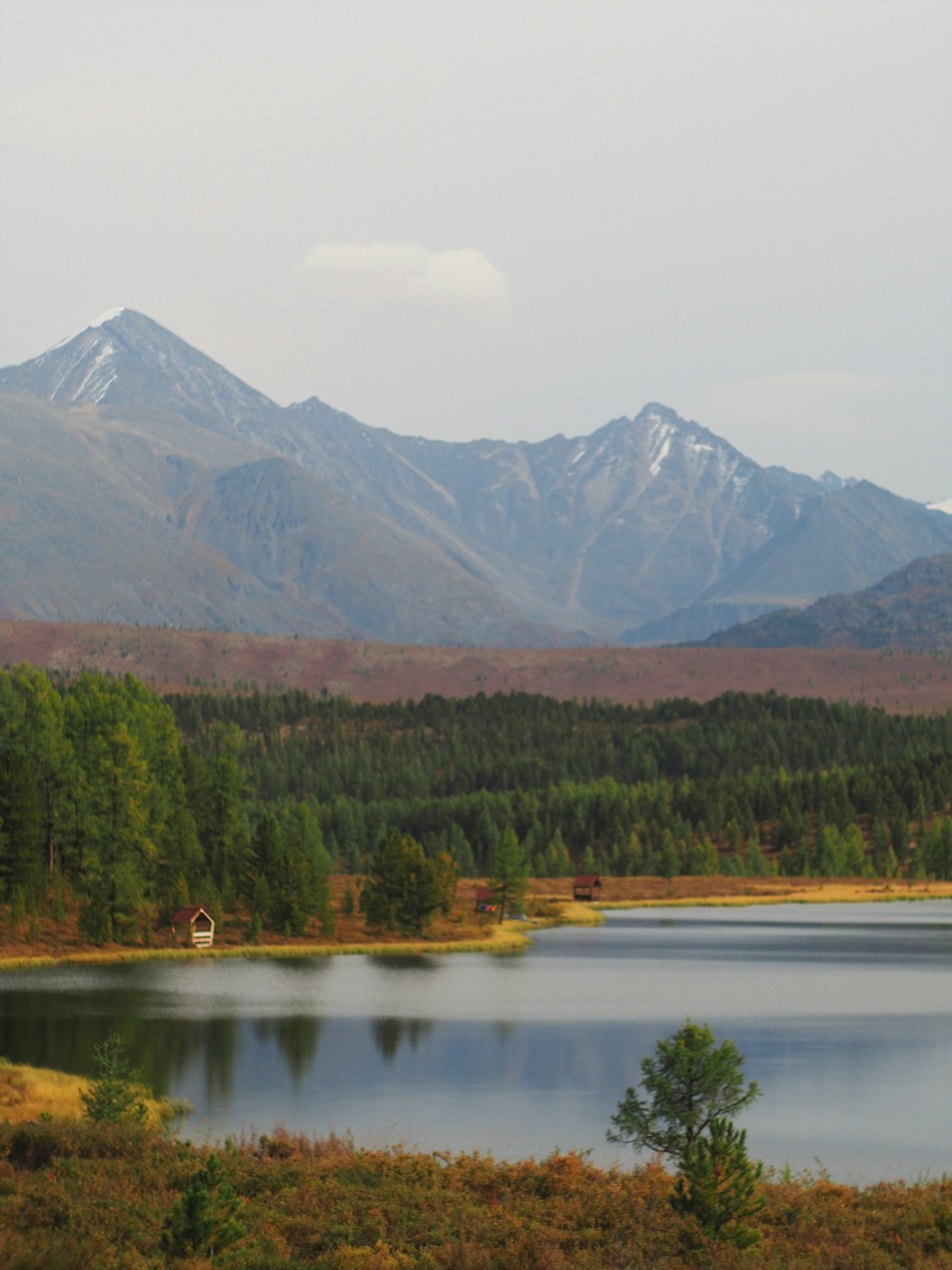 green trees near lake and mountain during daytime