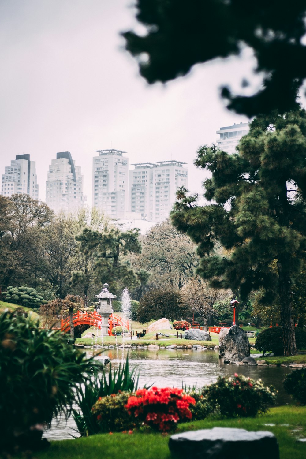 green trees near body of water during daytime