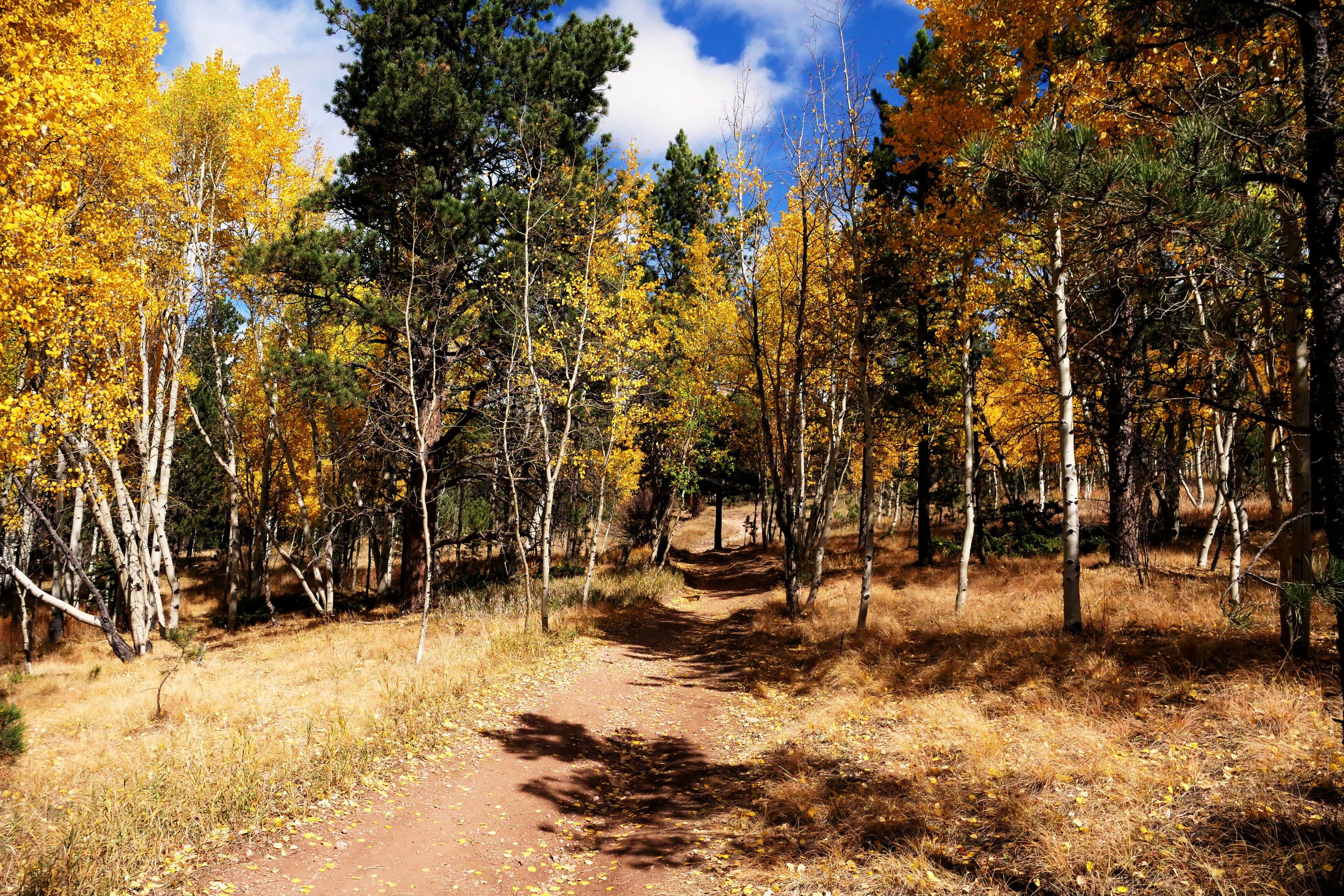 Photo by tomfooleryphoto