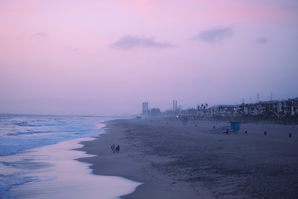 people on beach during daytime