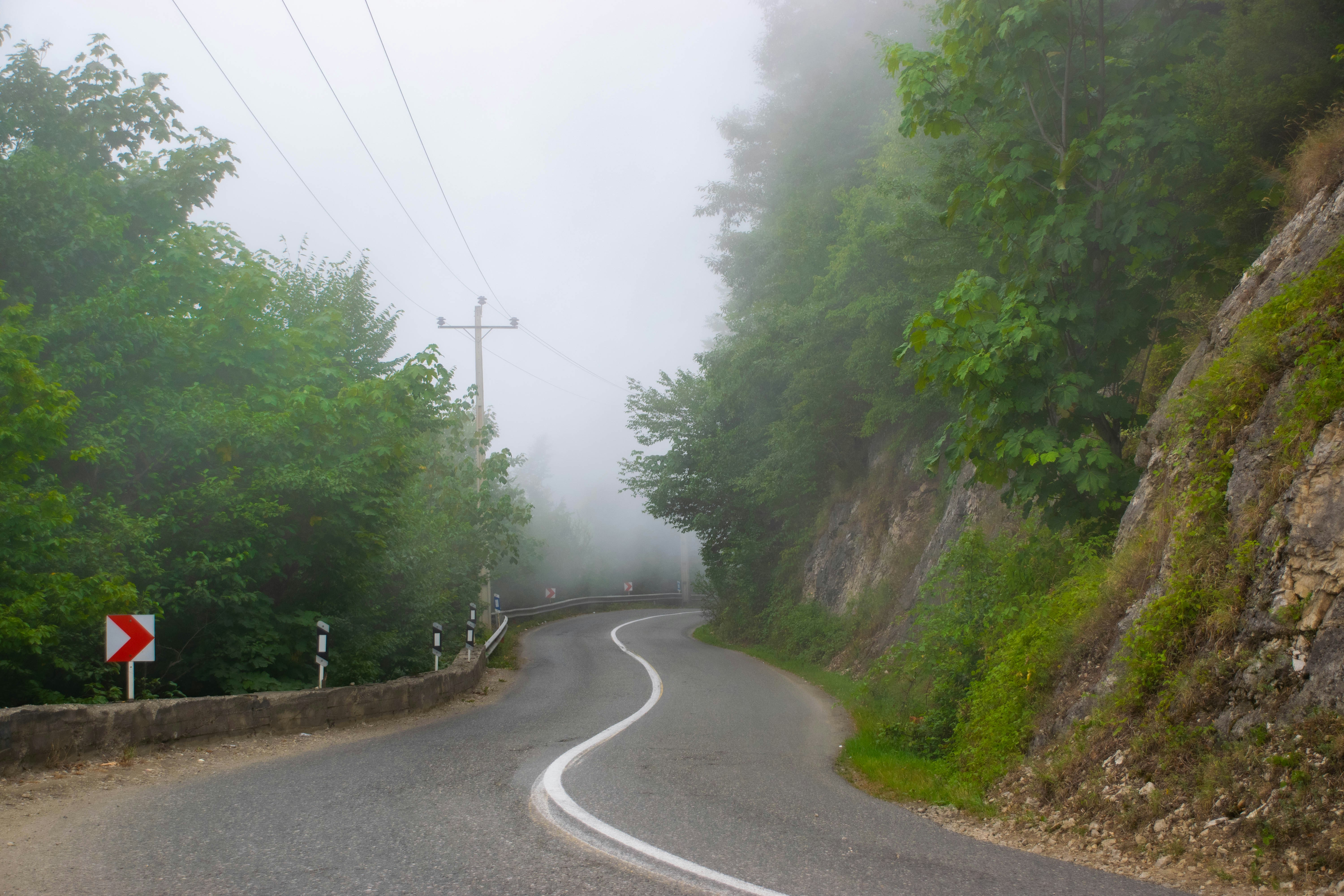 Photo by mohamadrajabzade97