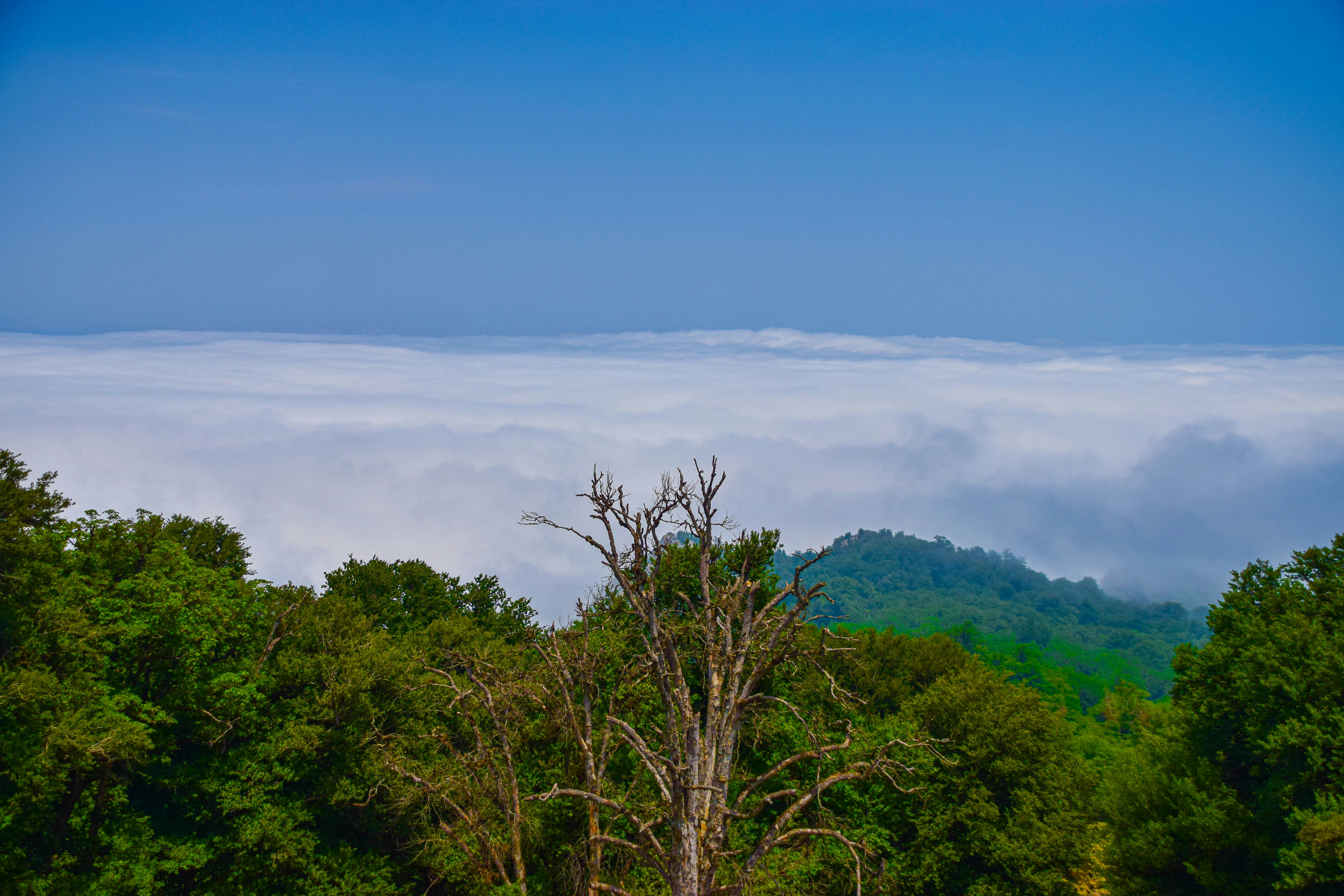 Photo by mohamadrajabzade97