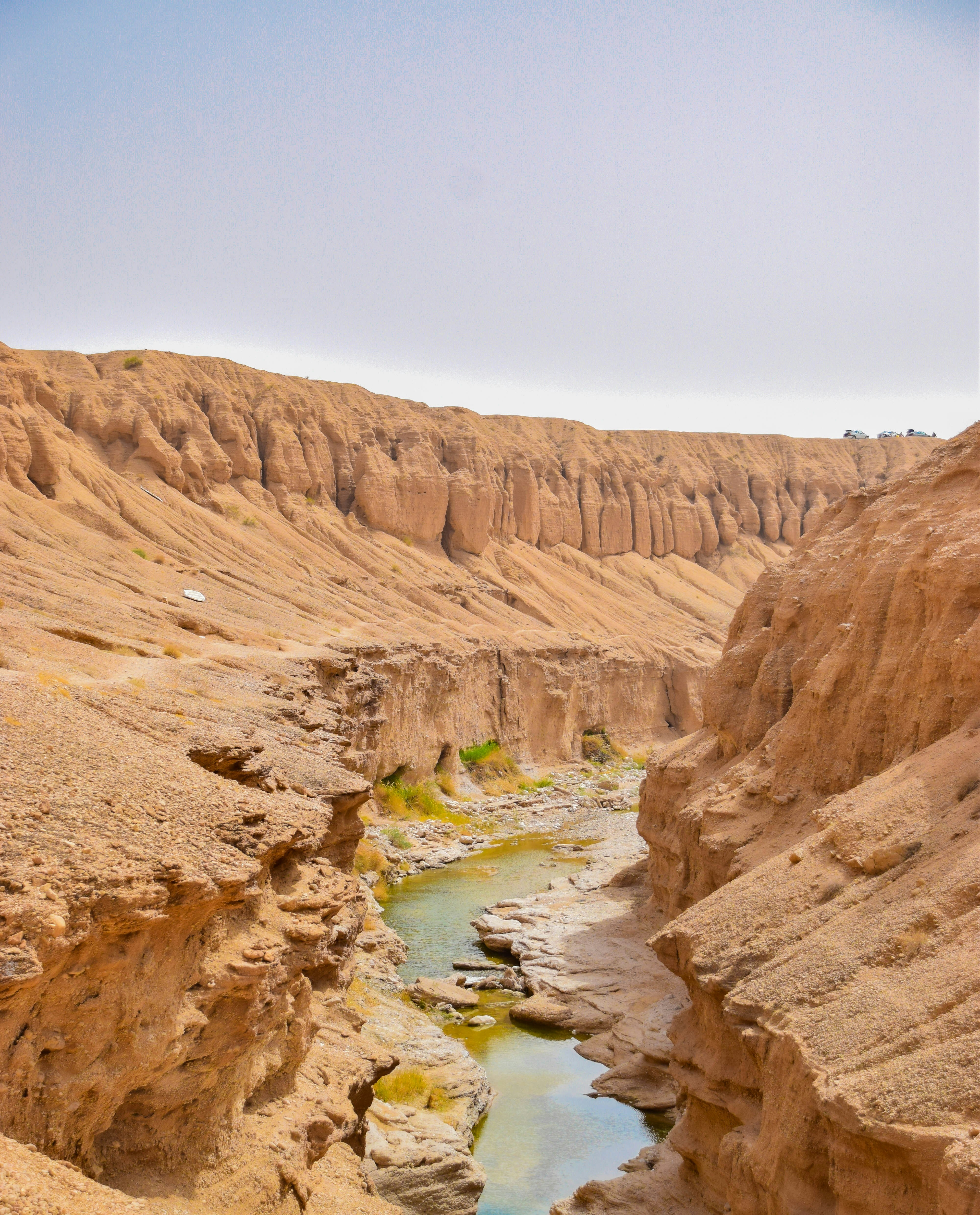 Photo by mohamadrajabzade97