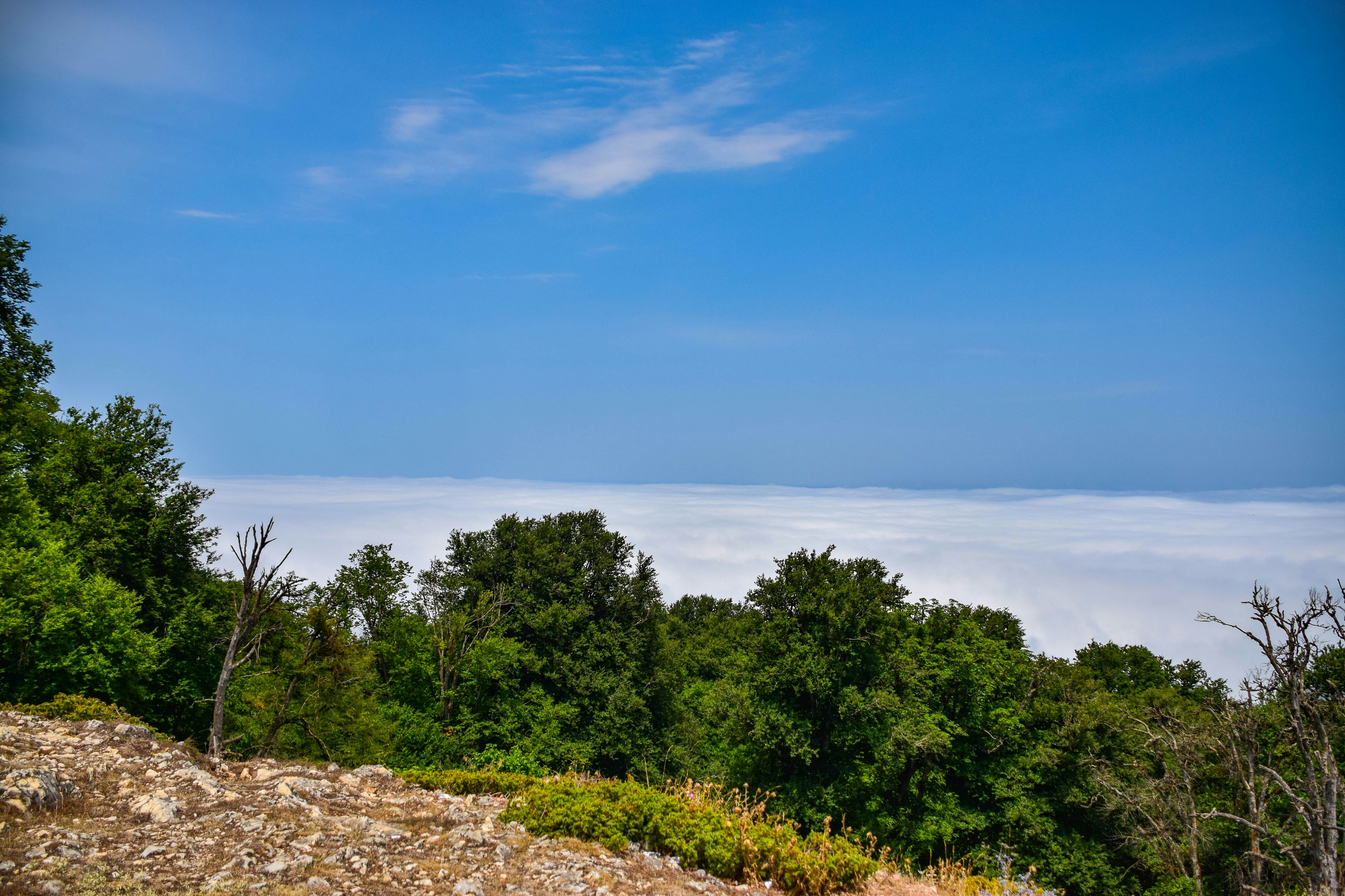 Photo by mohamadrajabzade97