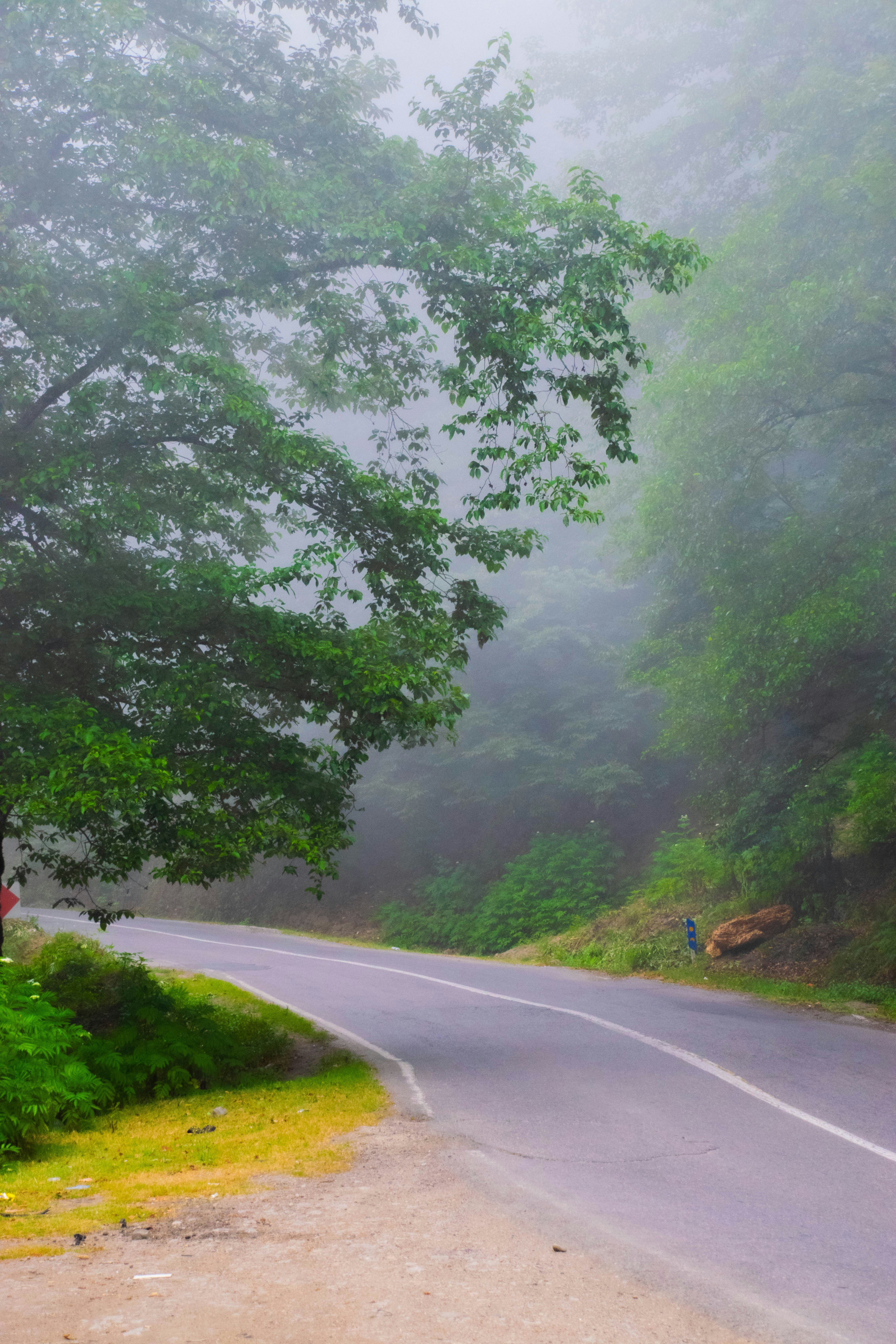 Photo by mohamadrajabzade97