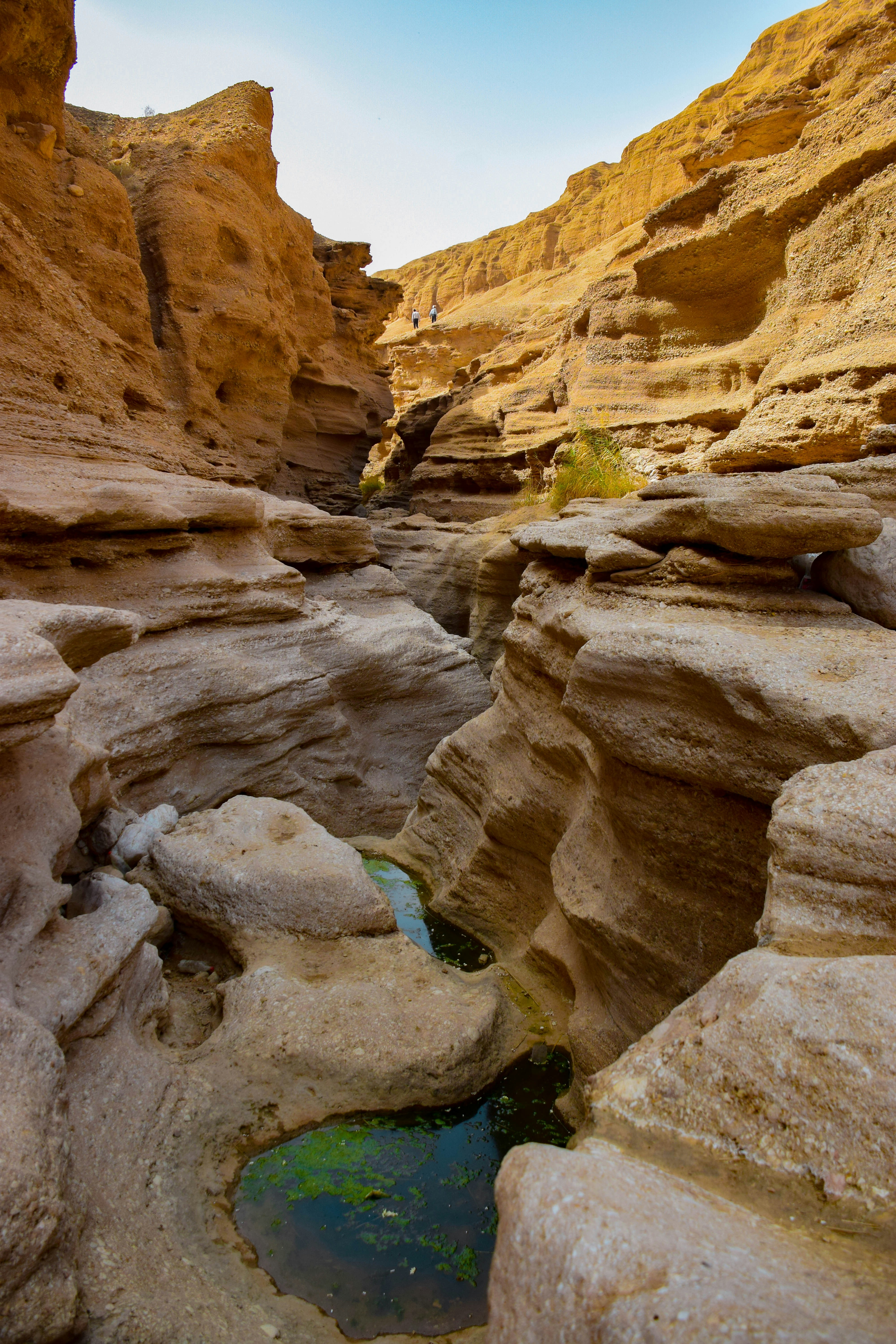 Photo by mohamadrajabzade97