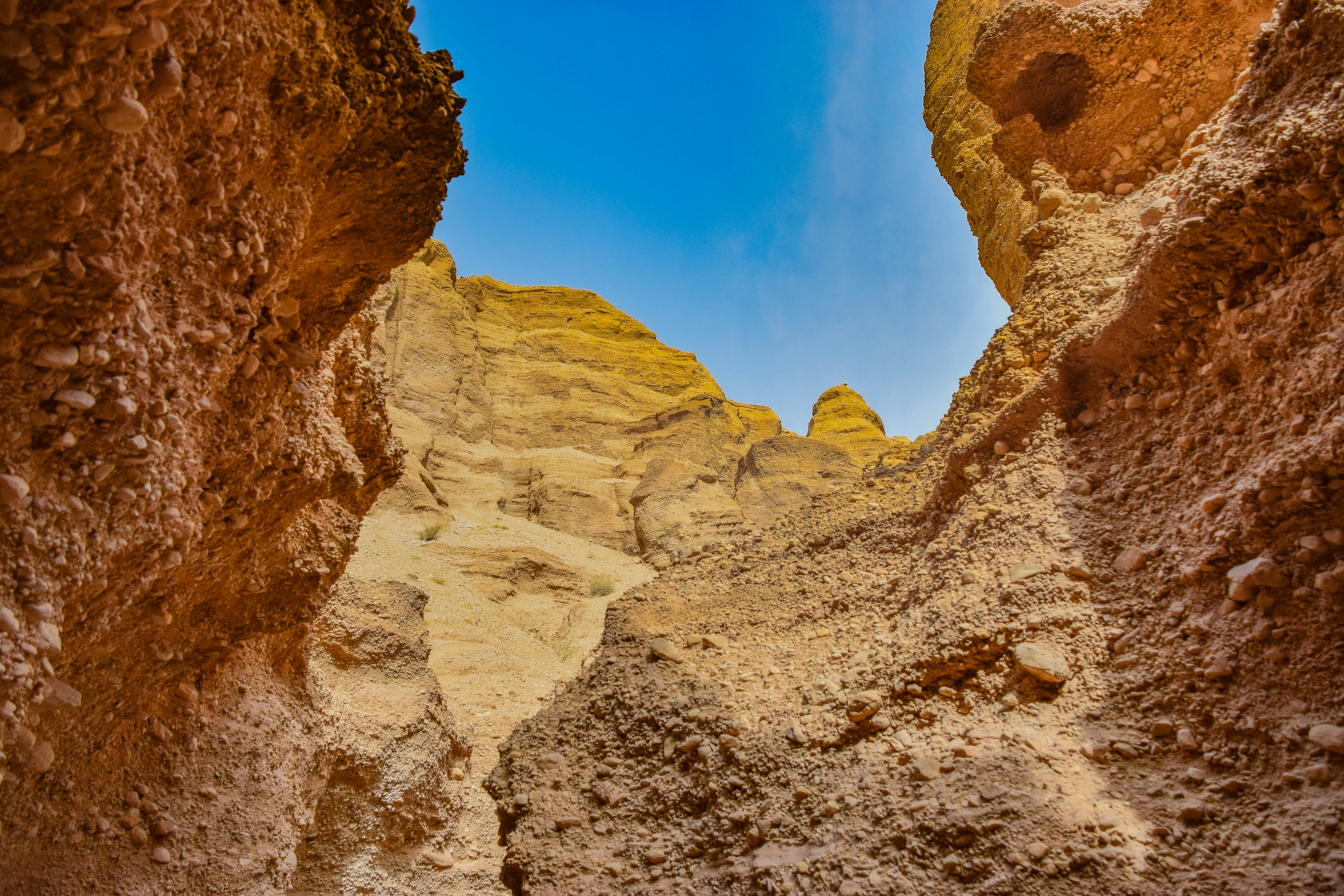 Photo by mohamadrajabzade97