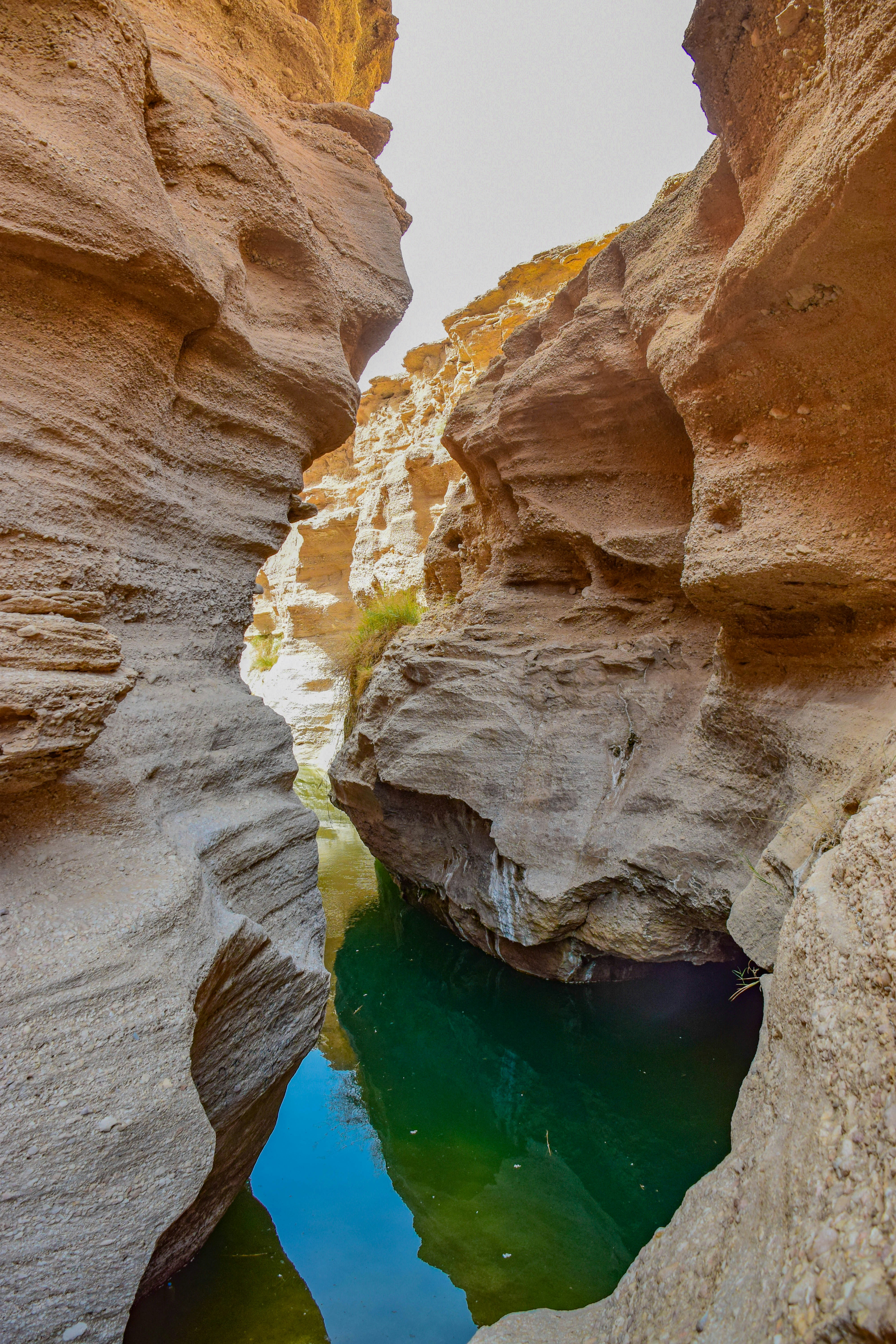Photo by mohamadrajabzade97