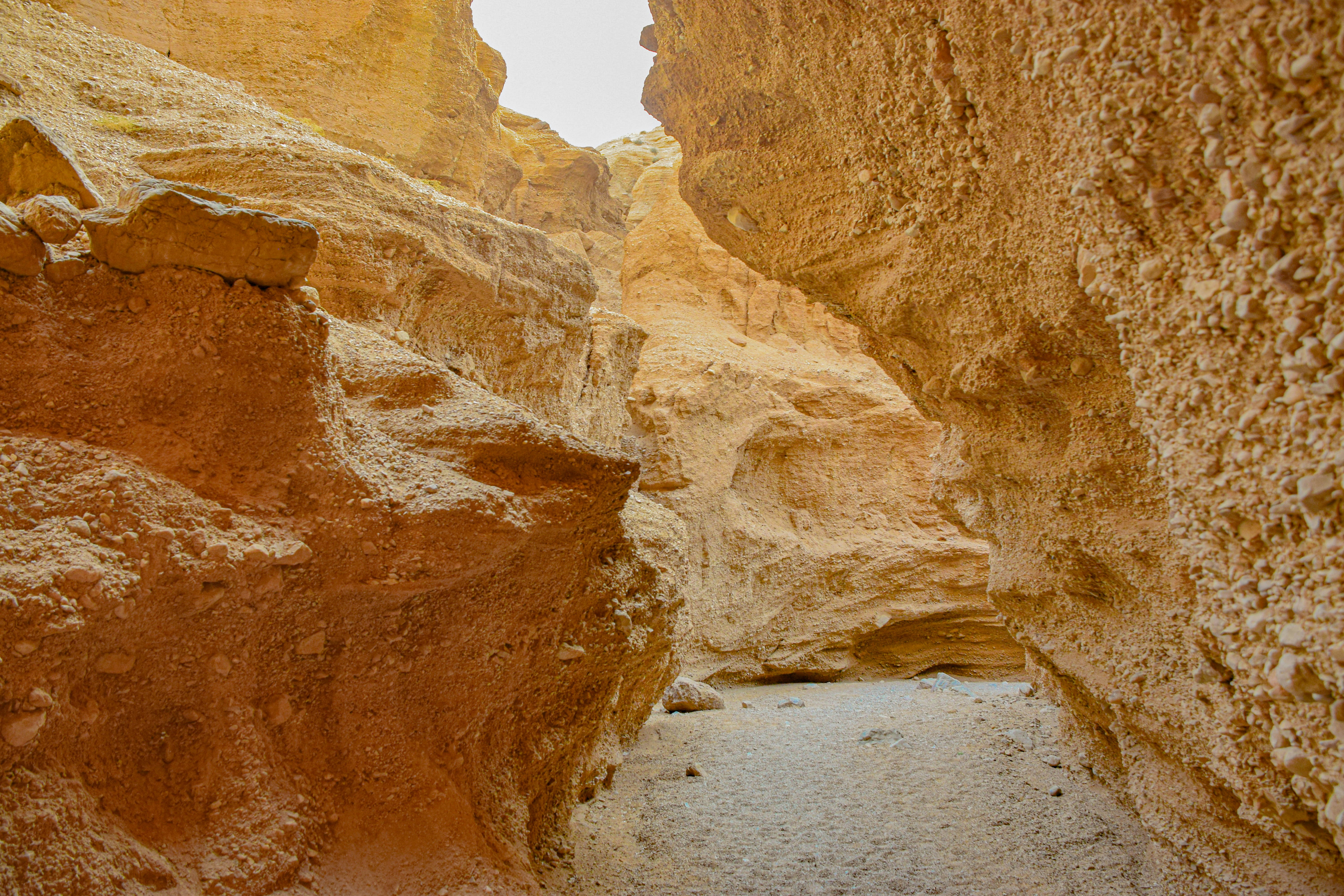 Photo by mohamadrajabzade97