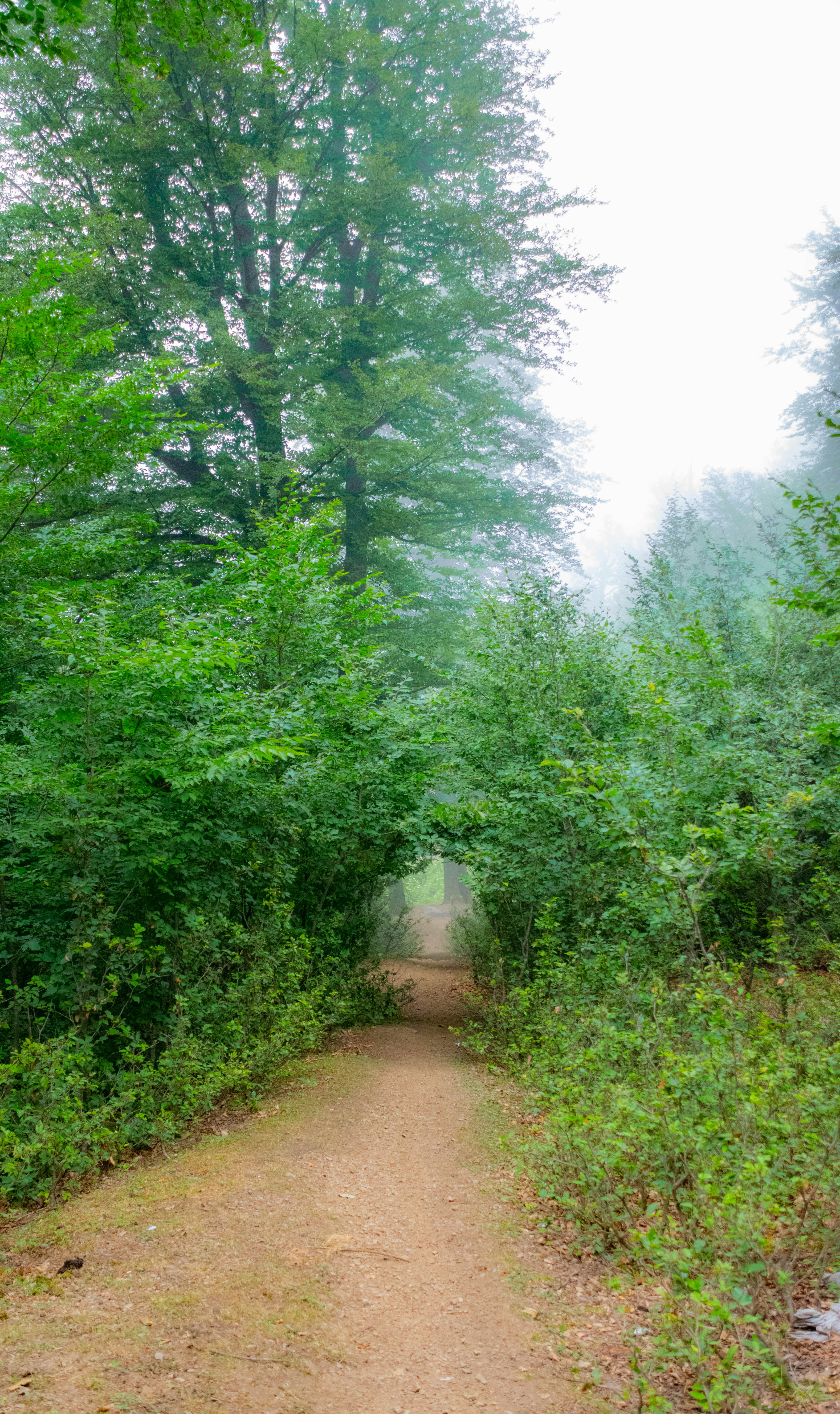 Photo by mohamadrajabzade97