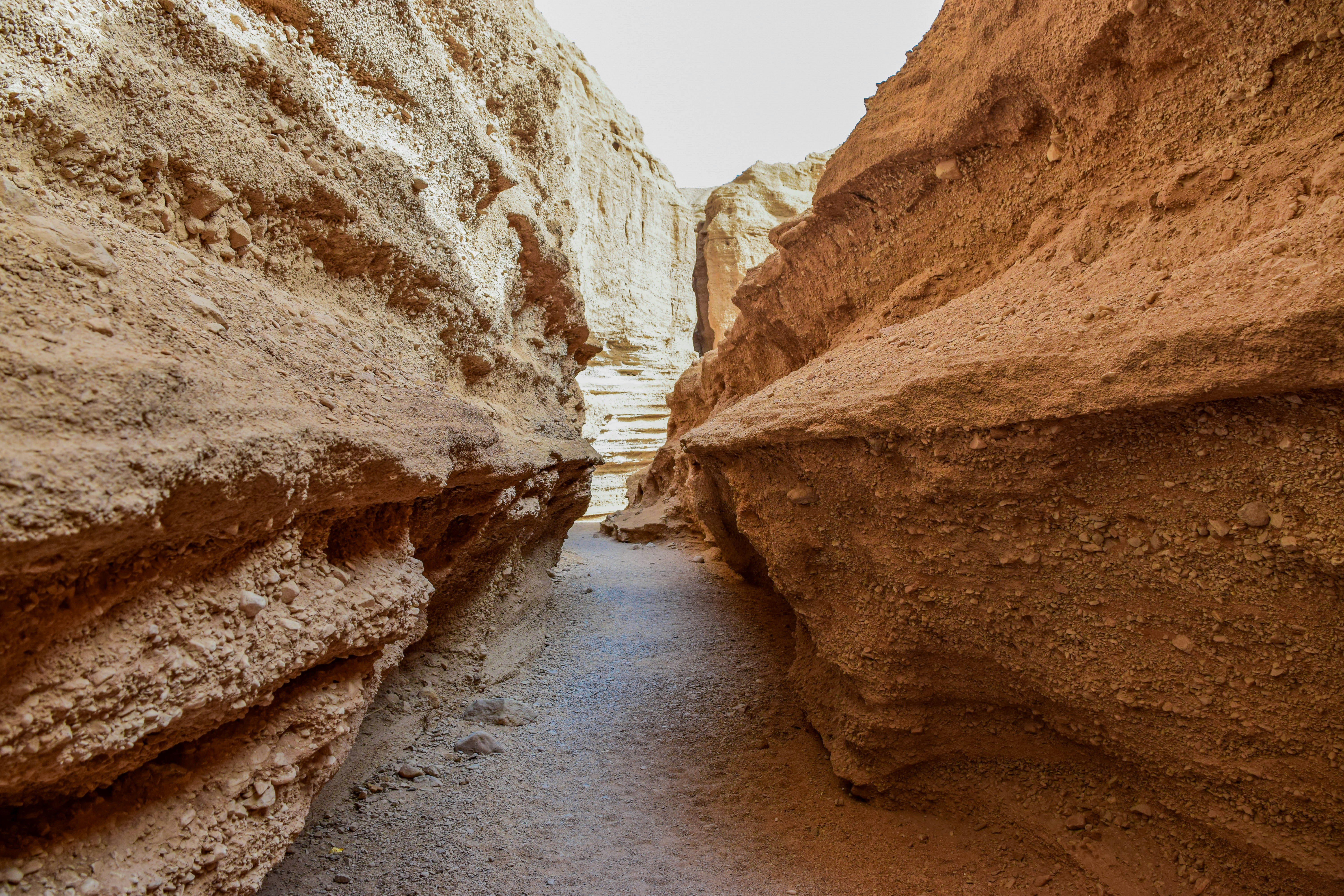 Photo by mohamadrajabzade97