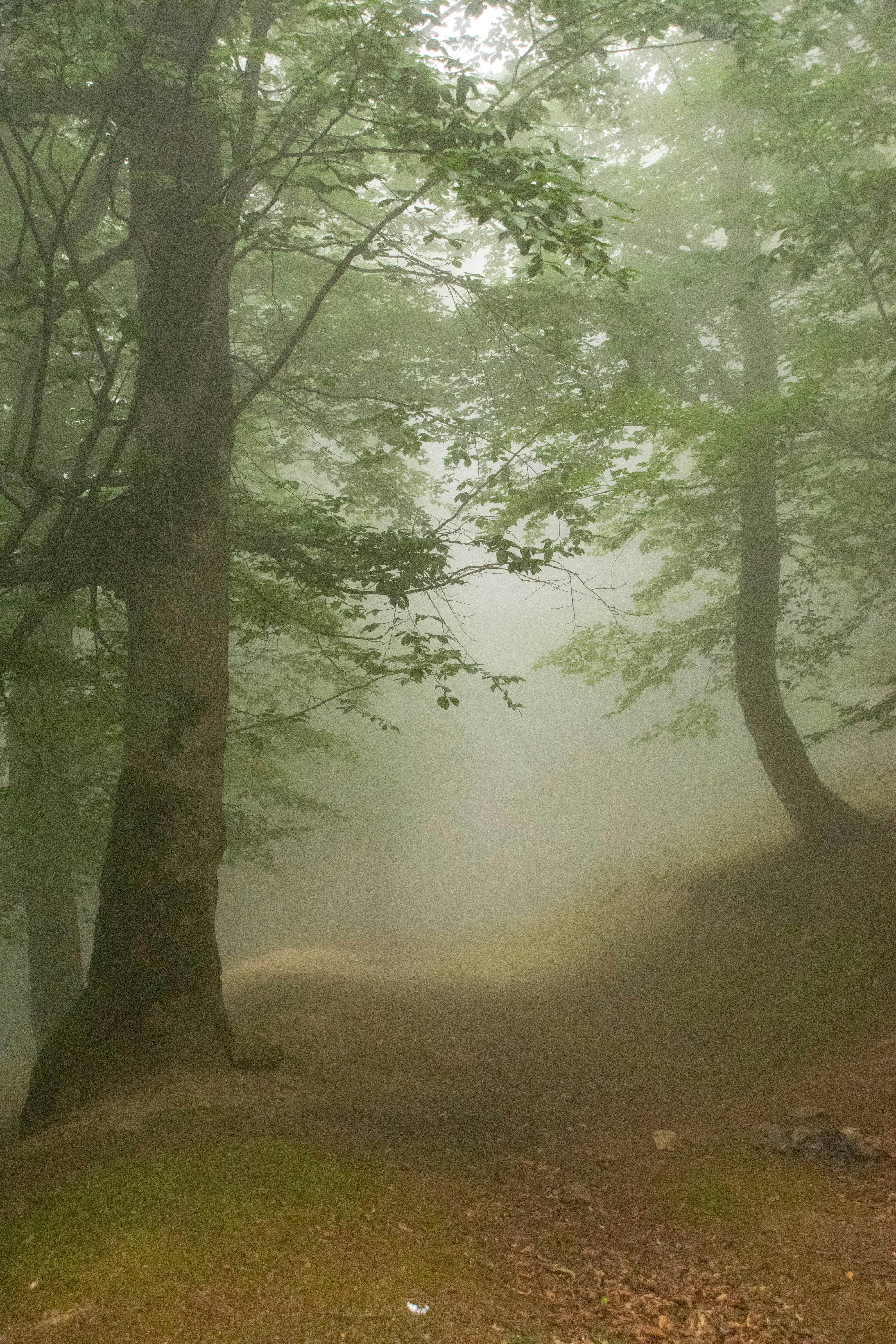 Photo by mohamadrajabzade97