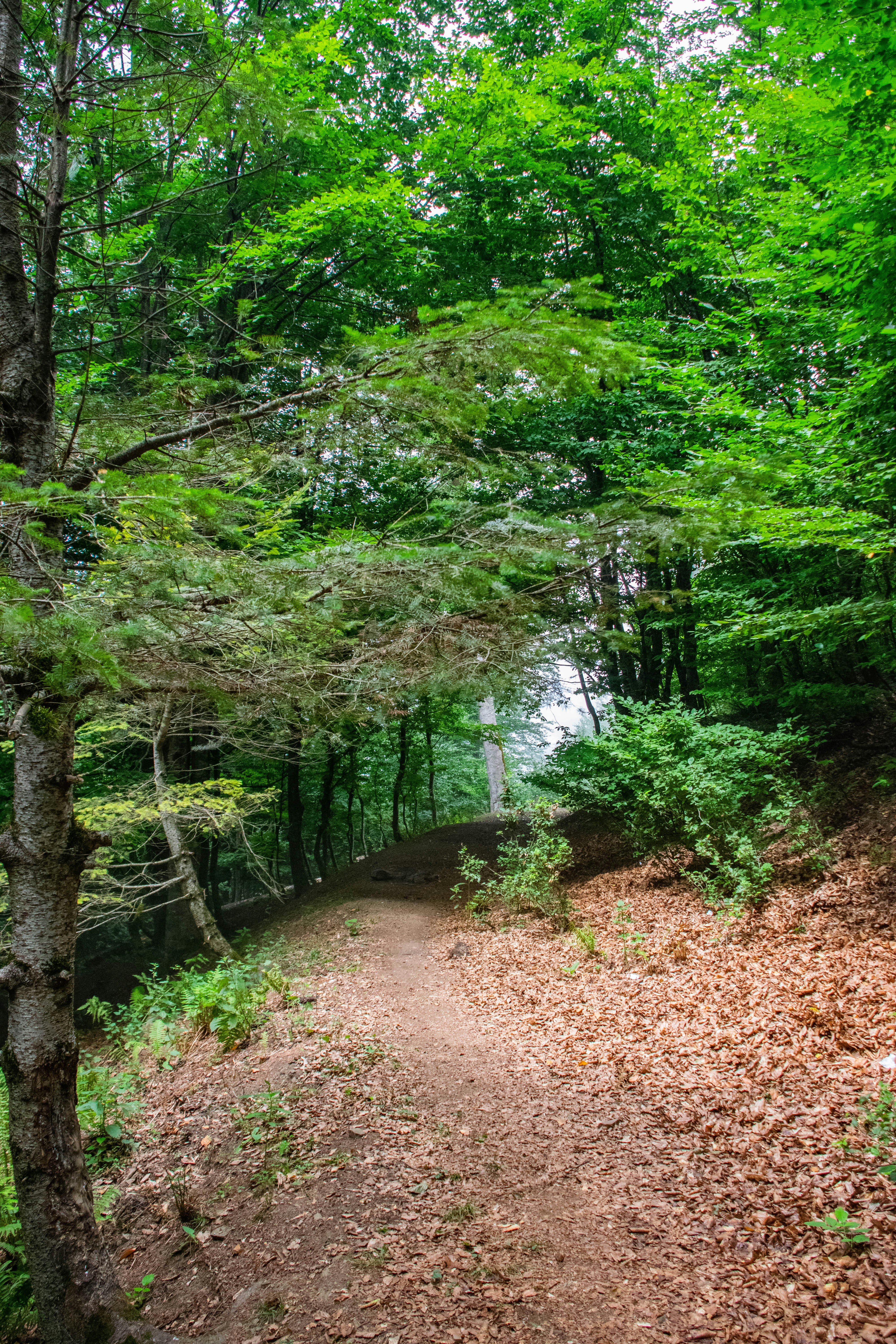 Photo by mohamadrajabzade97