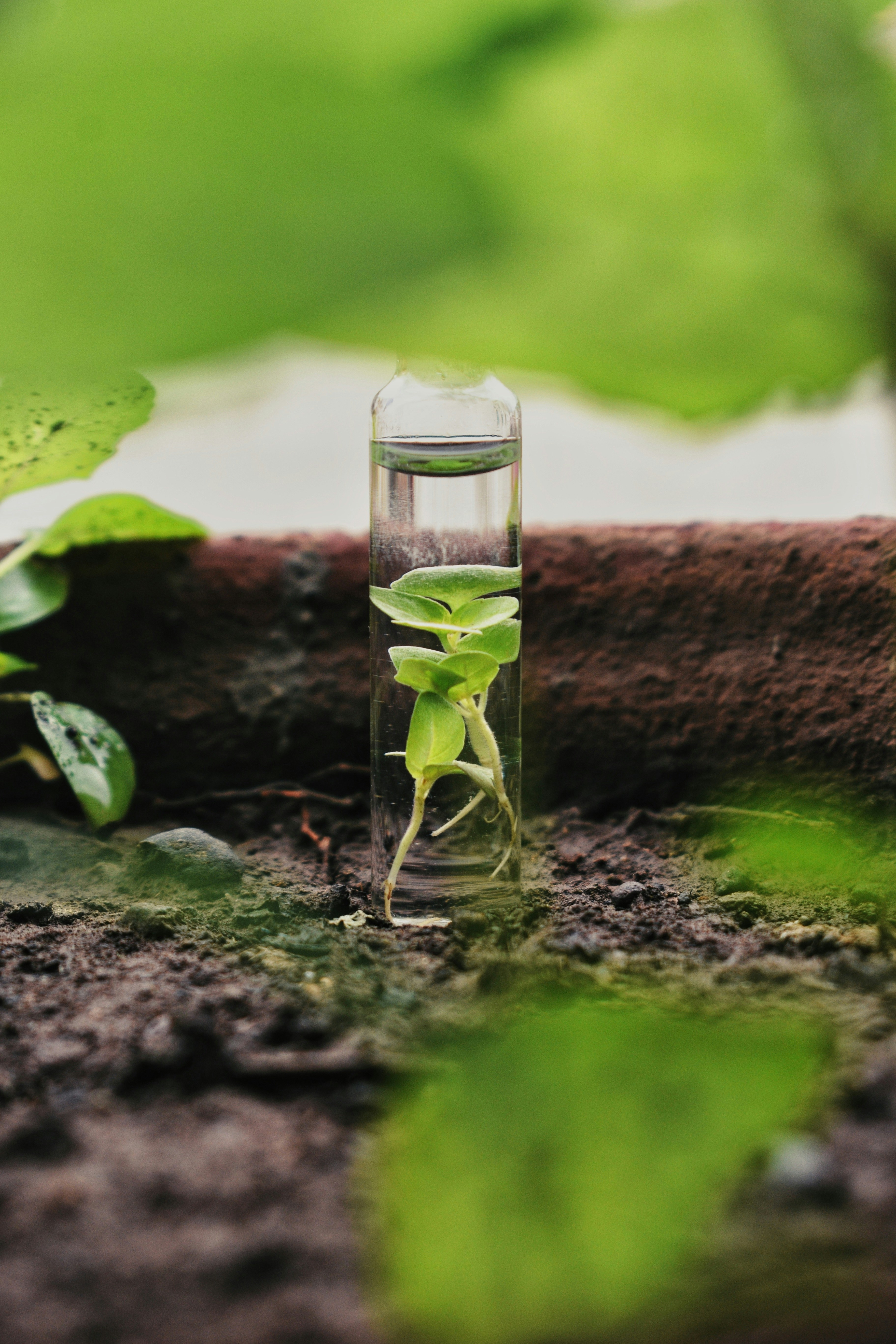 Night Market Pop-Up Bars: A 2026 Playbook for Profit, Permits, and Packaging