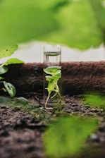 alt=Soluções personalizadas e sustentáveis