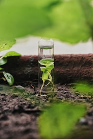 alt=Soluções personalizadas e sustentáveis