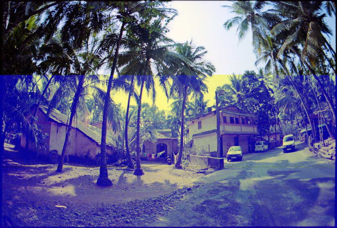 green palm tree near white concrete house during daytime