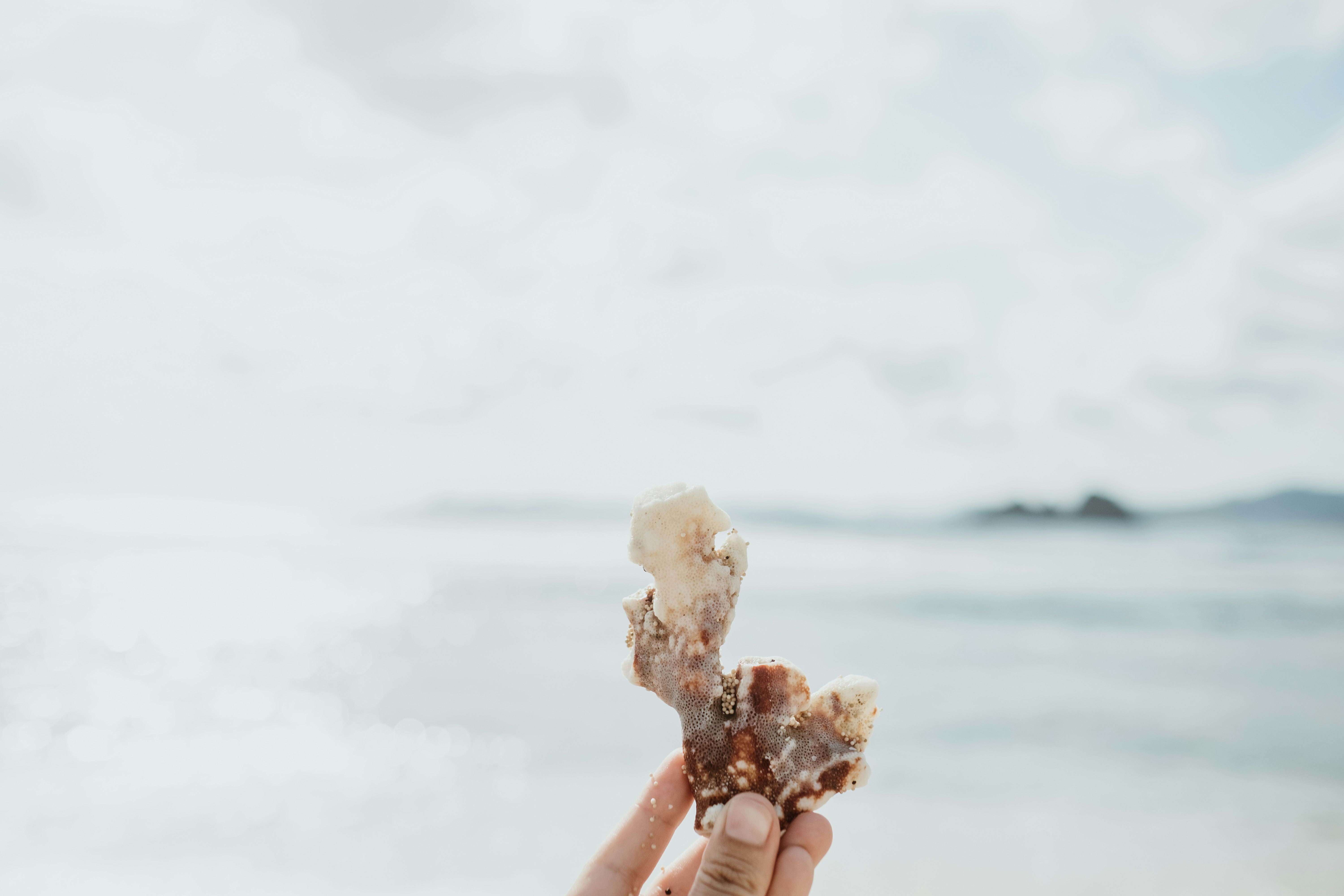 person holding white ice cream