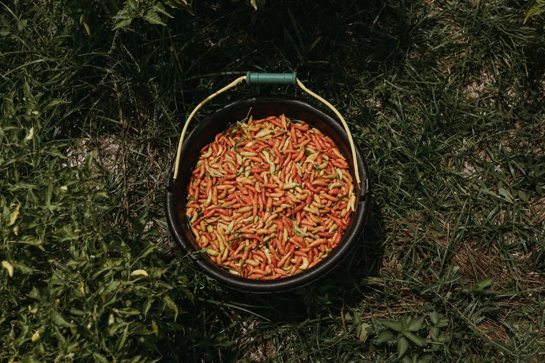 red and white chili peppers in black round container