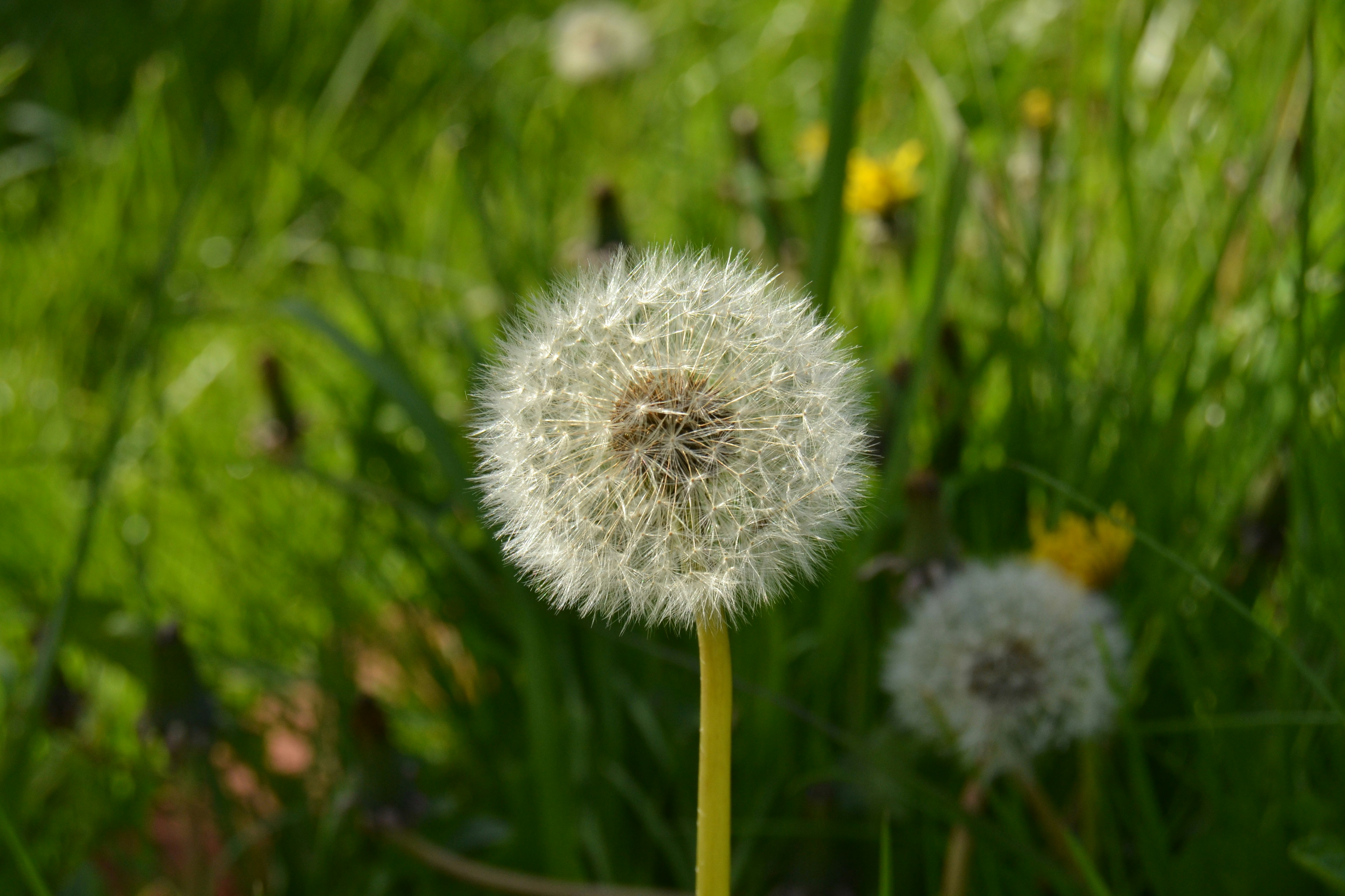 Photo by kathyryn_tripp