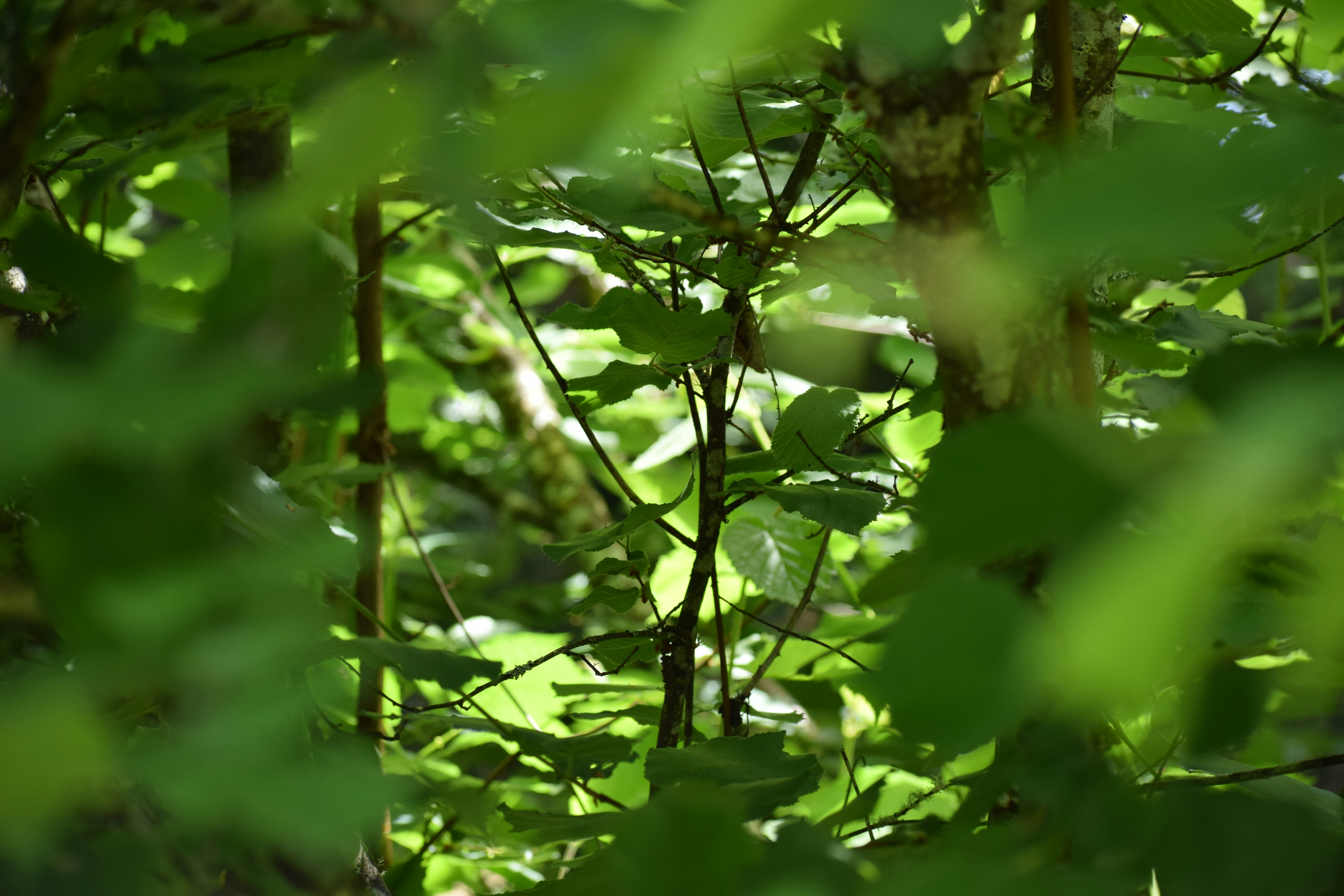 Photo by kathyryn_tripp