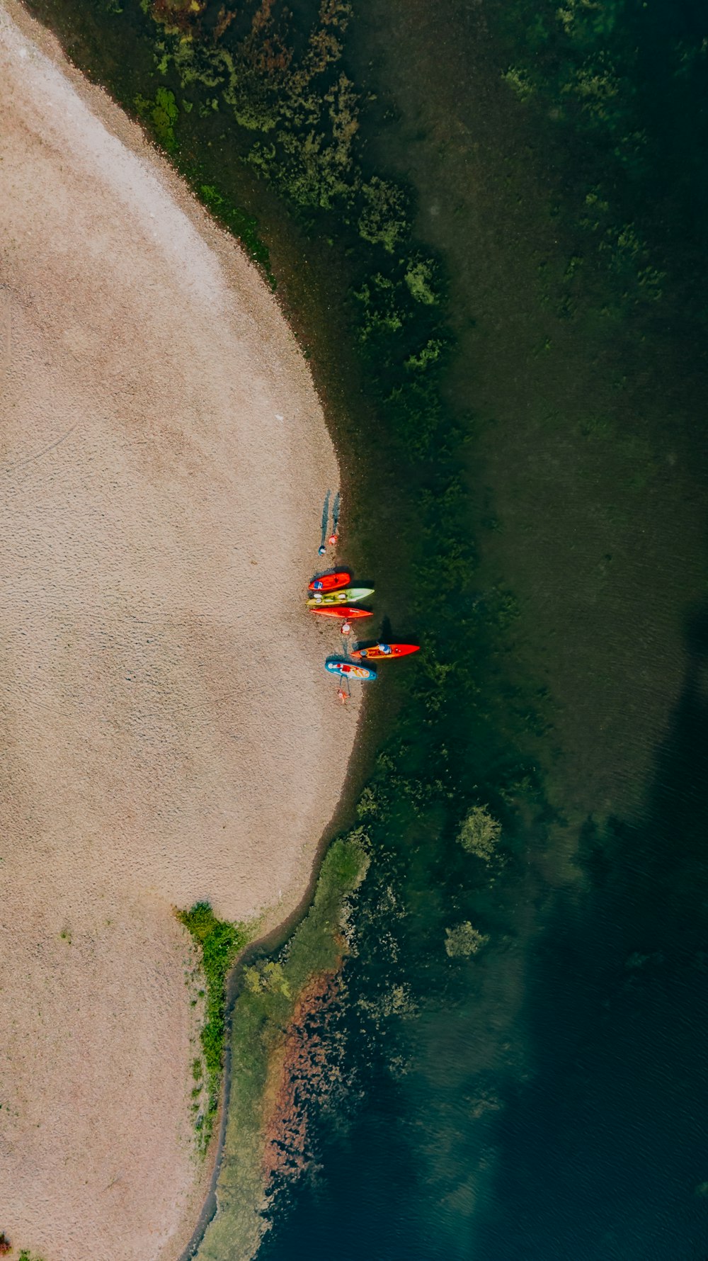 aerial view of people on beach during daytime