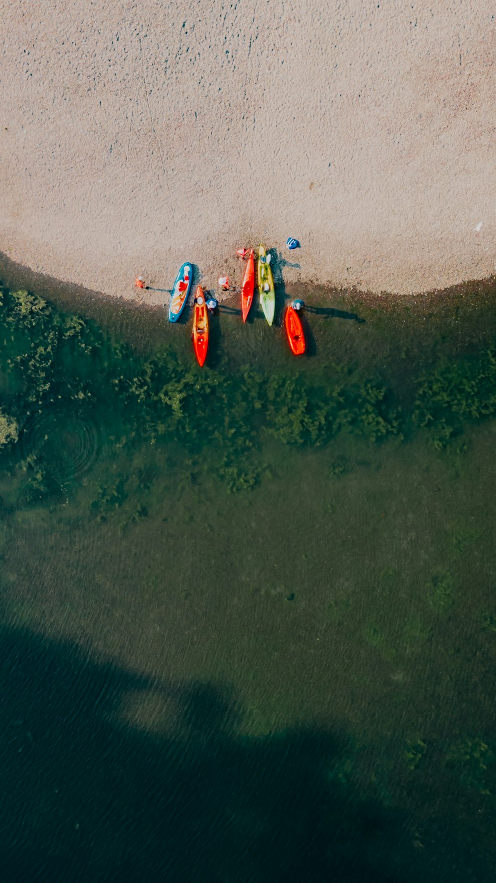 personnes en combinaison rouge et bleue sur un plan d’eau pendant la journée